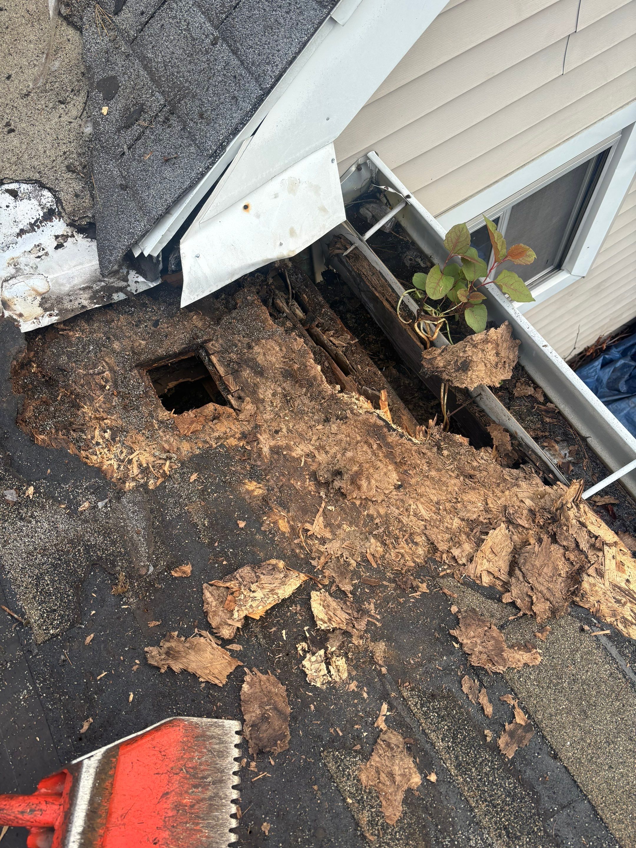 Project in Holland by Serene Construction