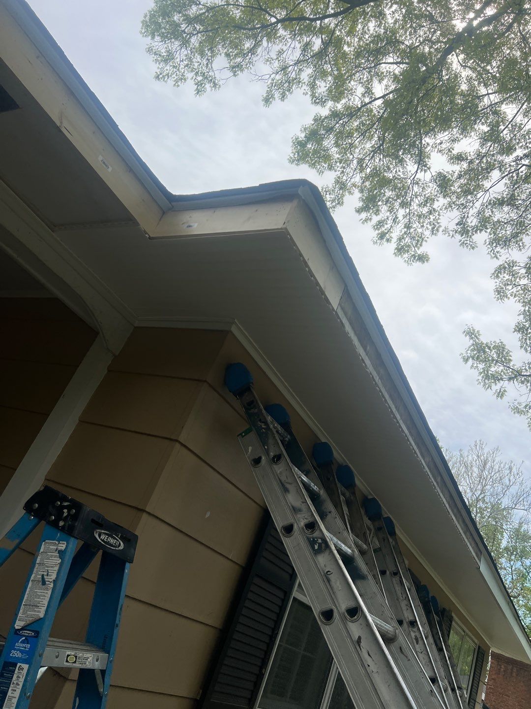 Arlington: Multi-Trade Exterior Remodel by RM Banning, Inc.