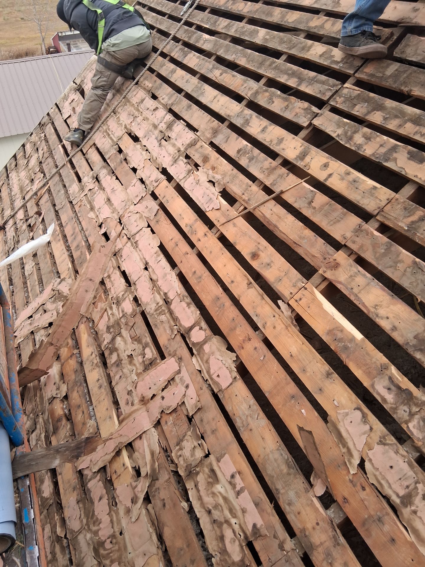 Project in Conrad by KQC Roofing