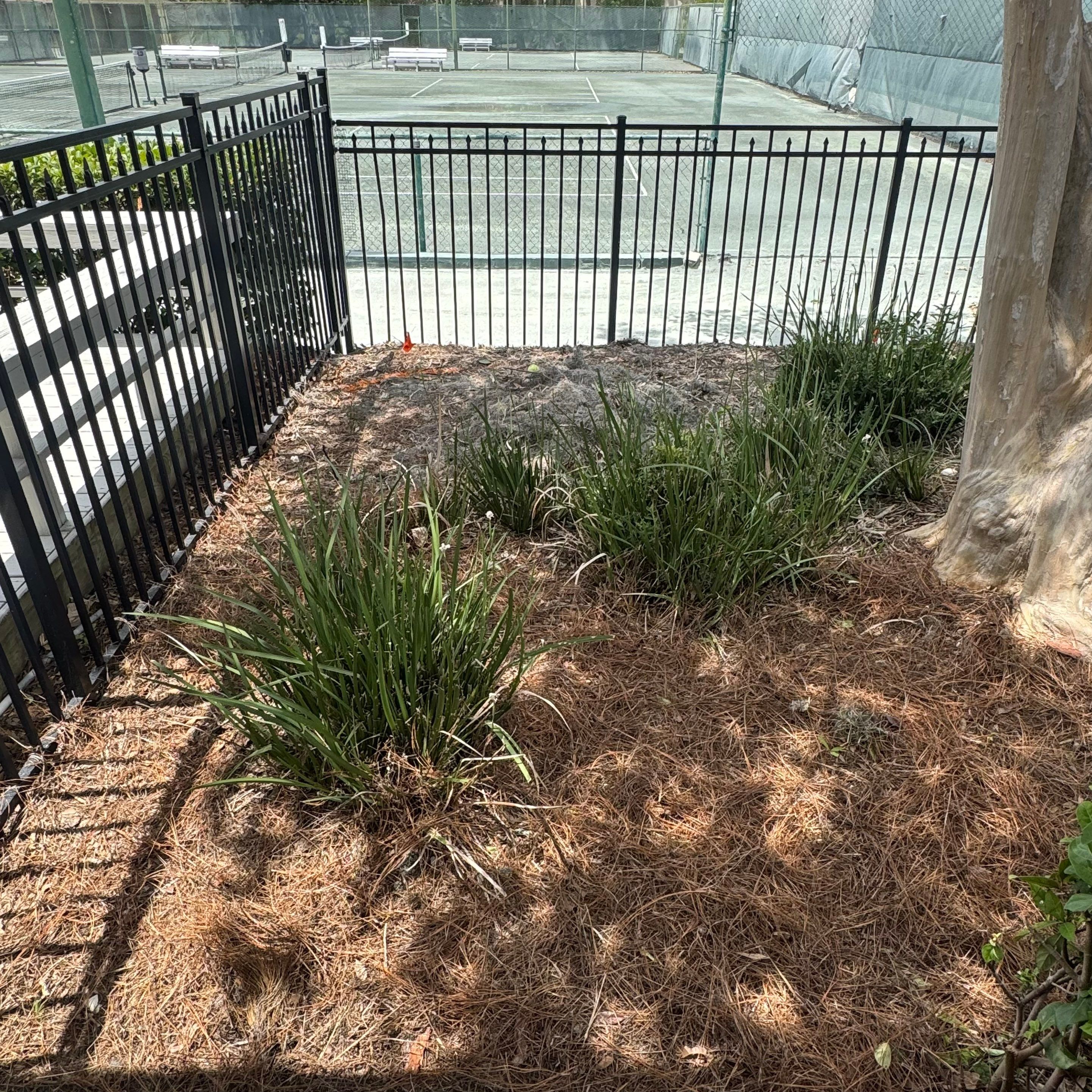 Tennis Complex | Deerwood Community by ProGreen Services