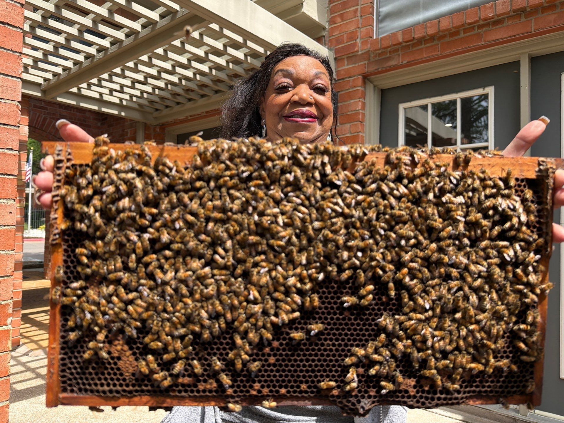 Apartment Retreat for Honey Bees in Garland by Rockwall Honey Bee Company