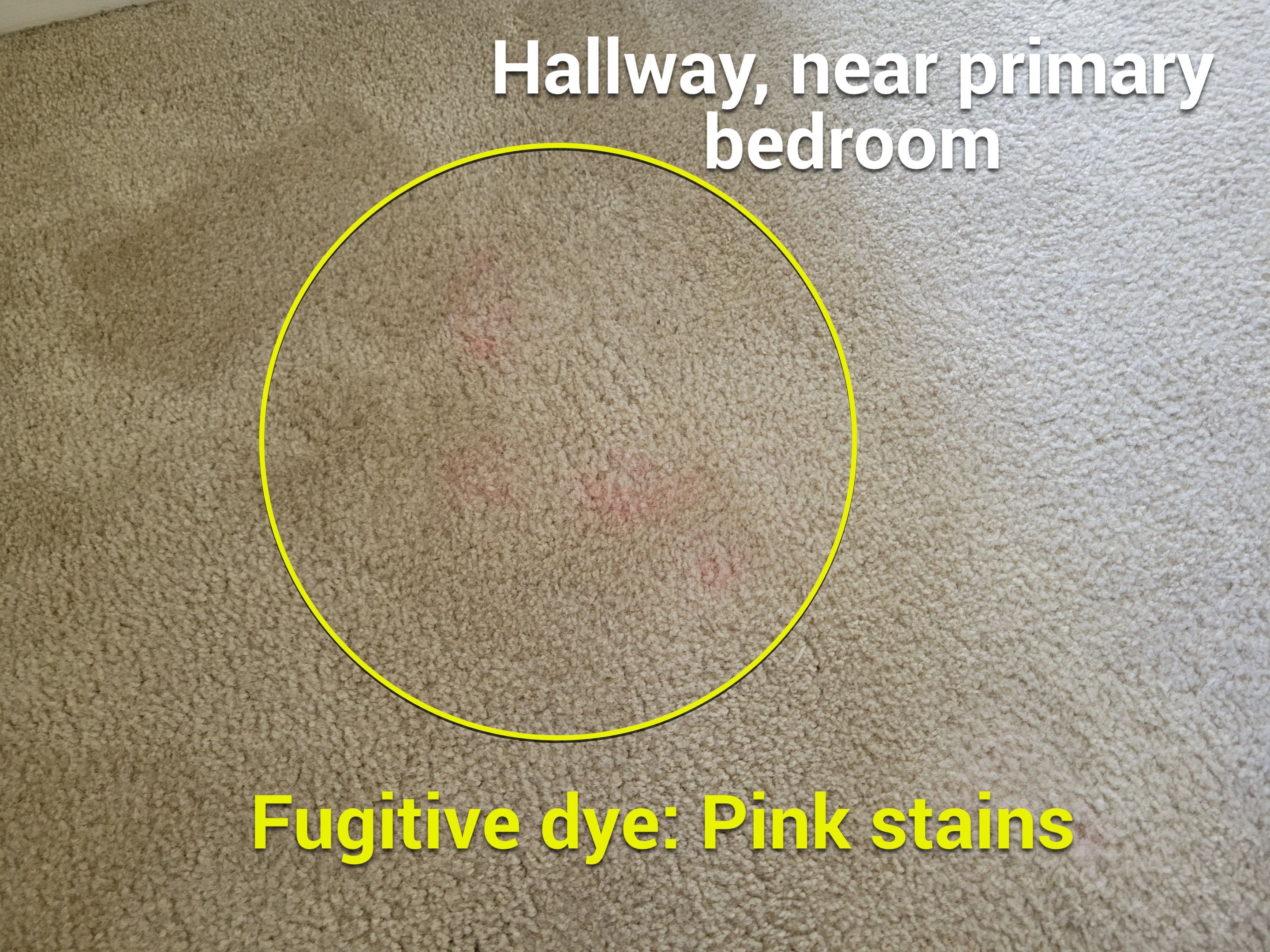 Carpet Cleaning & Stain Removal by Ardent Carpet Restore LLC