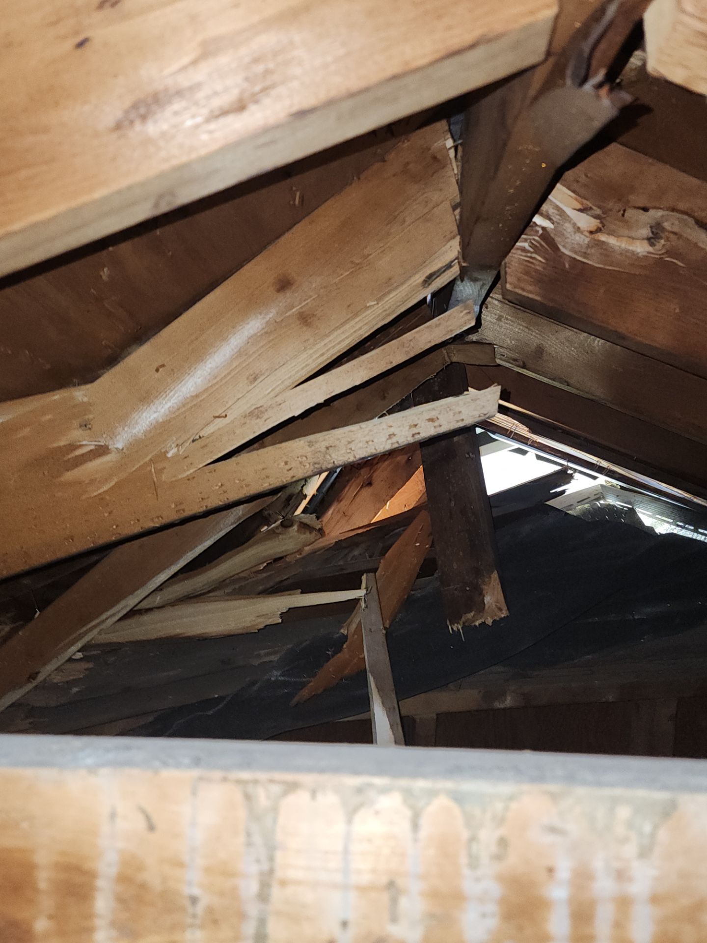 Storm Damage - Muscle Shoals by Better Than Before Restoration 