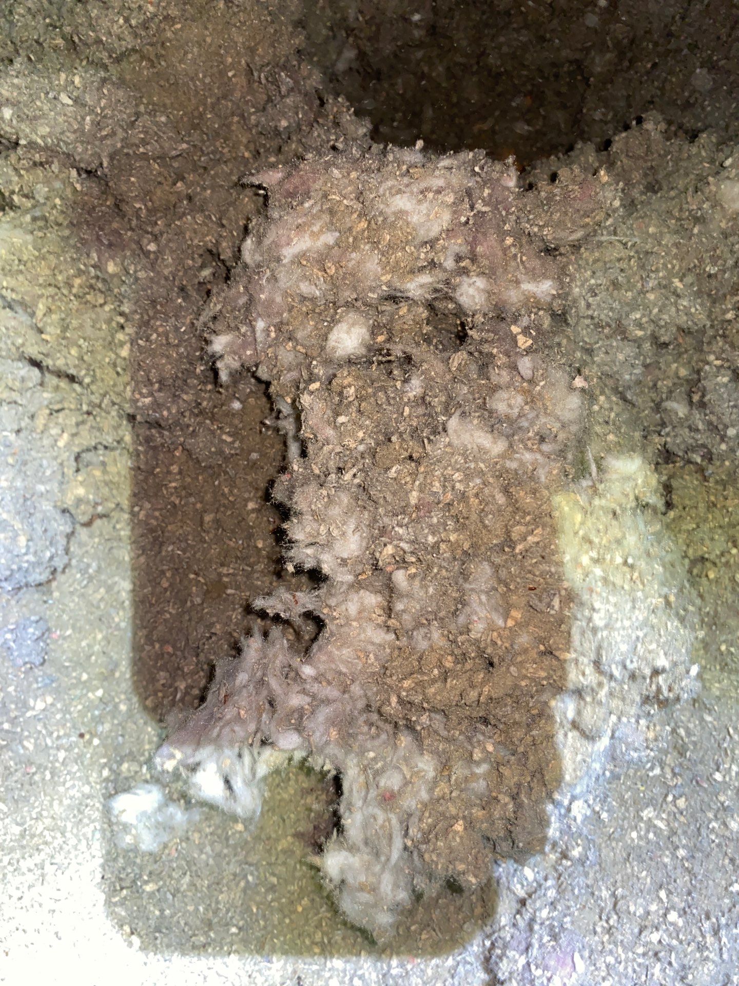 Seven Fields, PA – Attic Cleanup and Air Sealing for Better Comfort by Home Environment Solutions