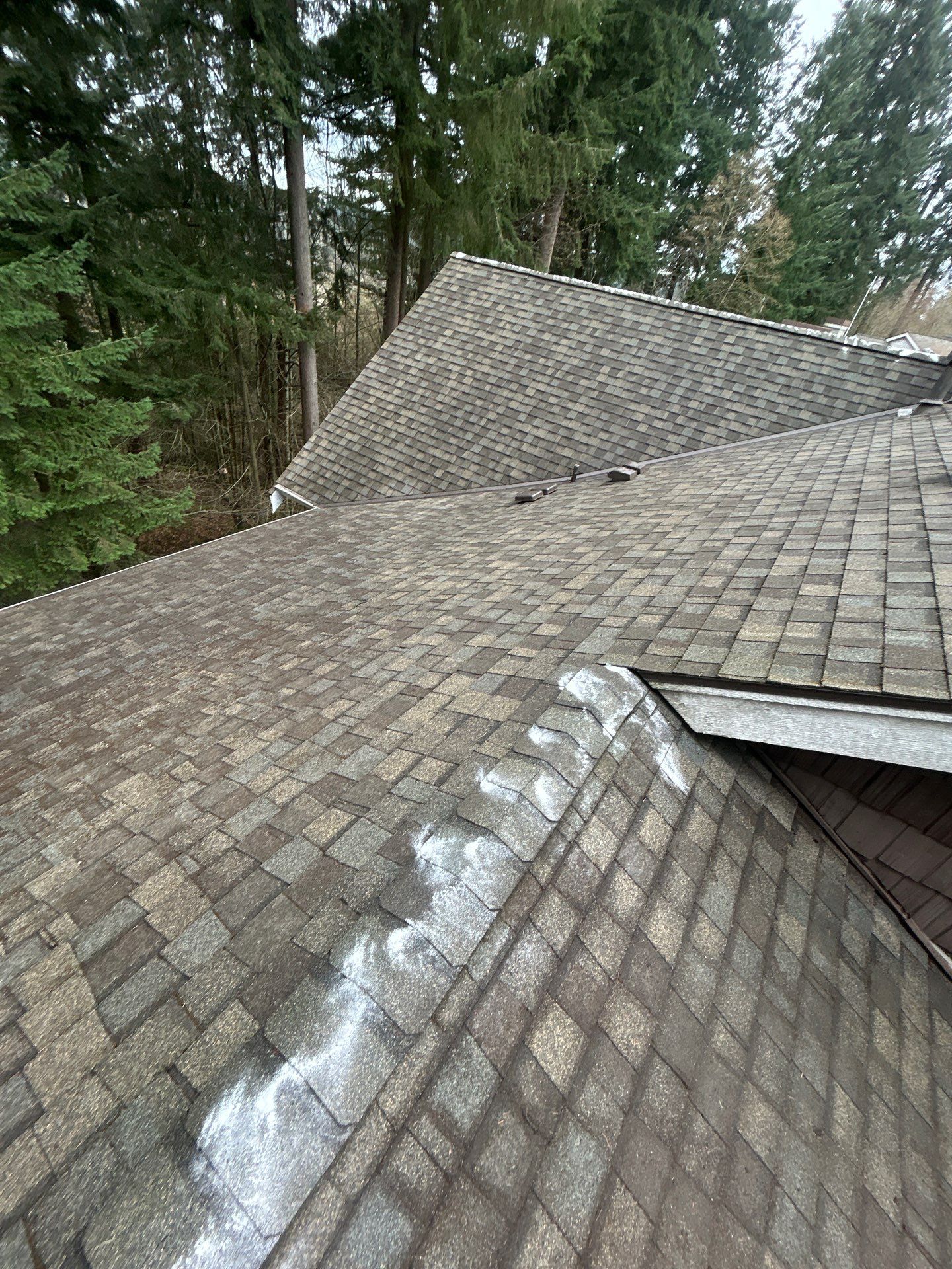 Project in Bothell by Connolly Construction Company