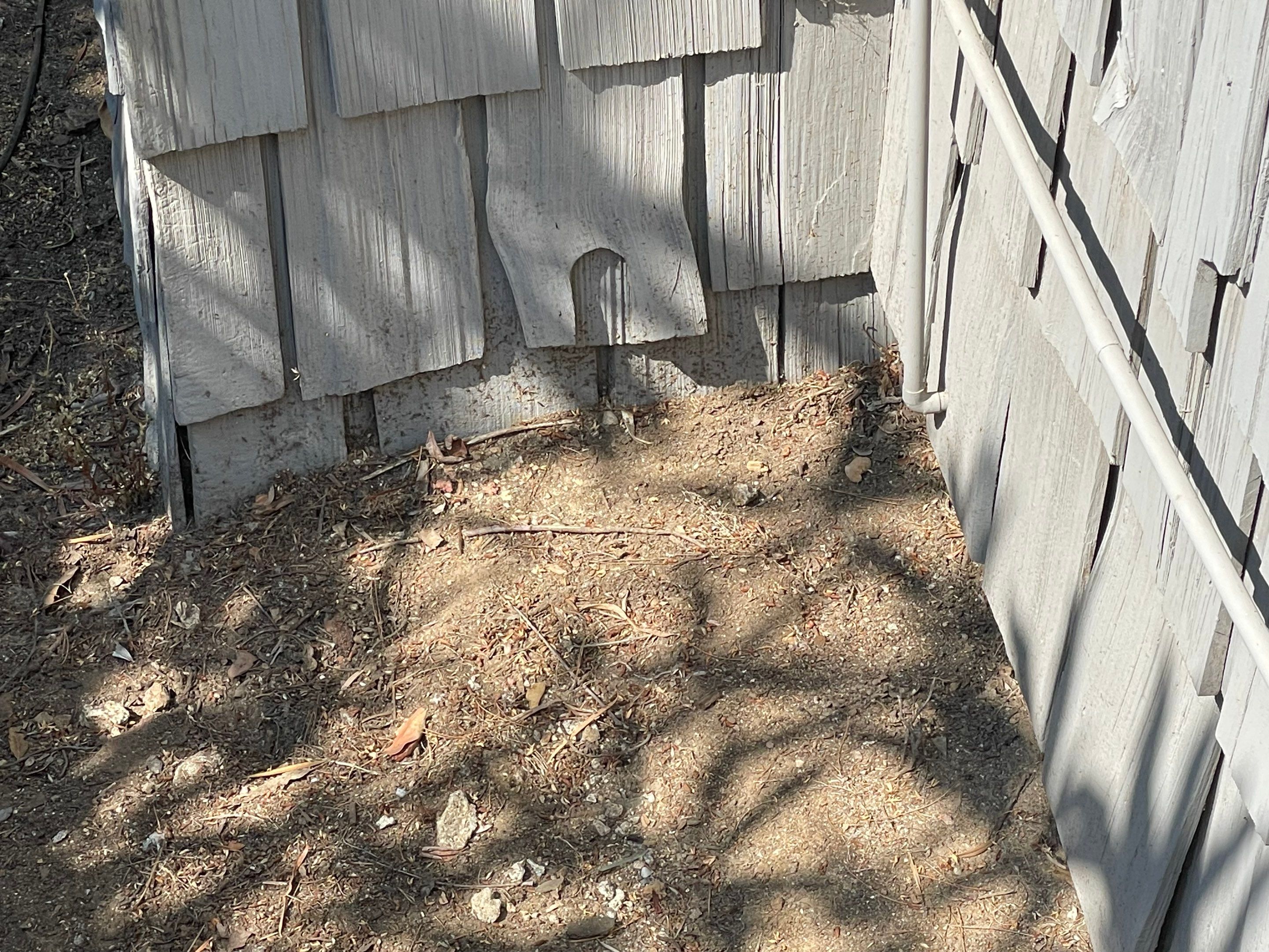 Wood Destroying Organisms Report by GLOBAL Termite Solutions