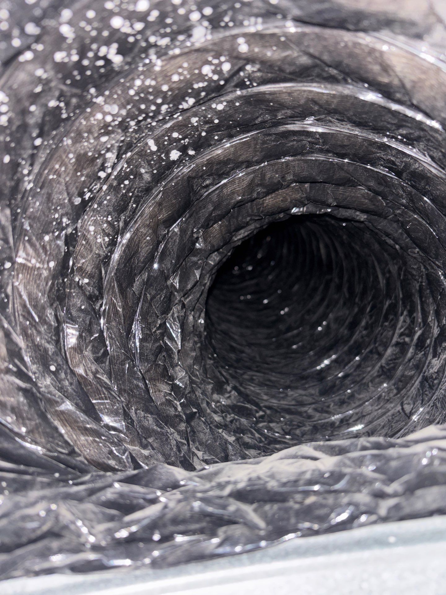 Air Duct Cleaning in Windermere by Hygienic Air, Inc