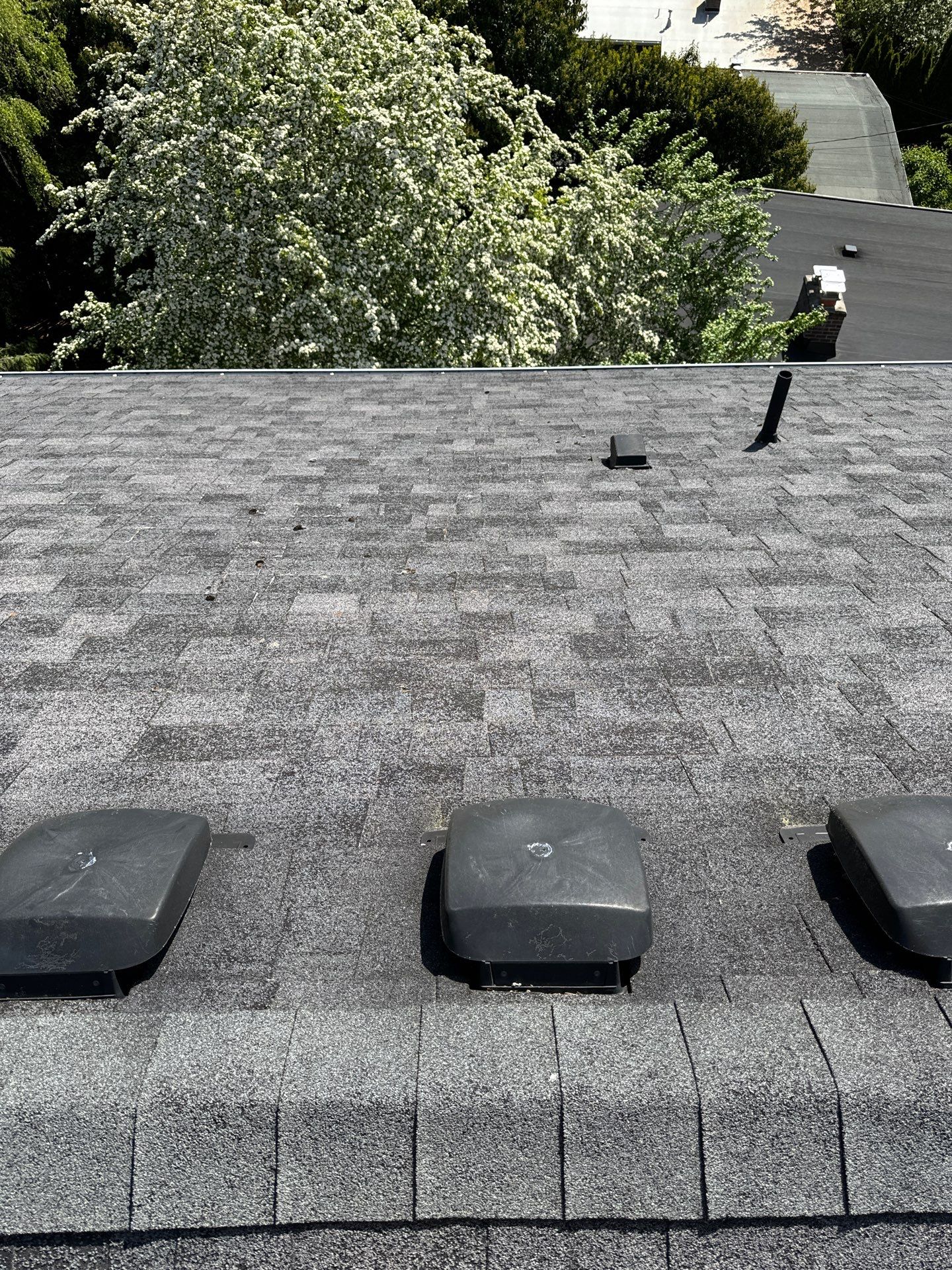 Project in Seattle by Connolly Construction Company