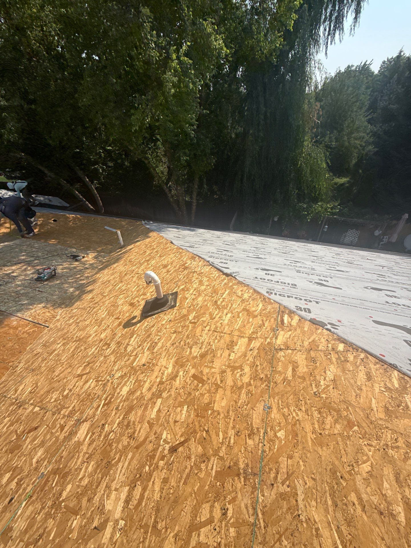 Boise Commercial Roof Replacement with Brown Architectural Shingles by Olive Roofing