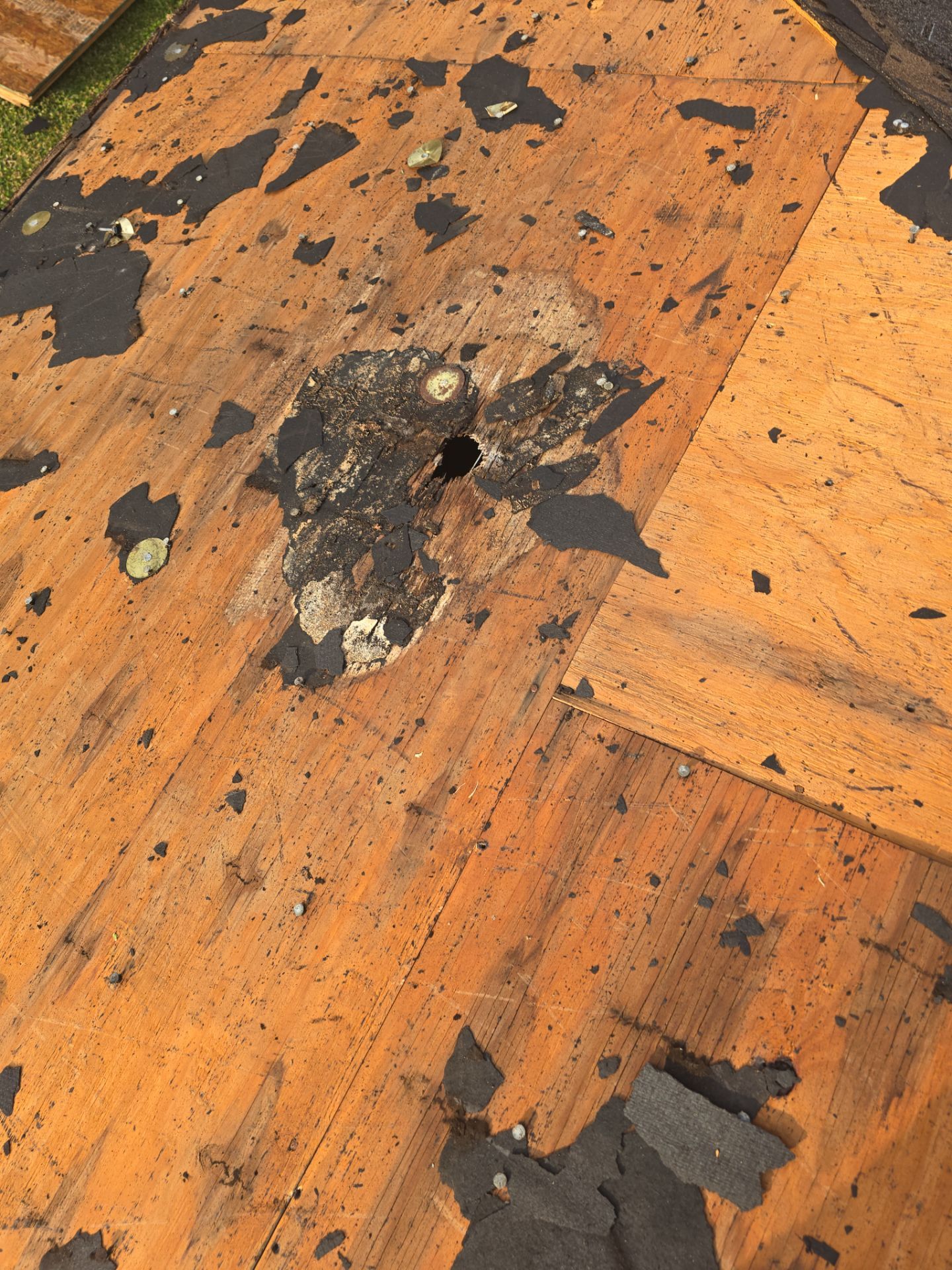Roof Replacement Pasadena by Roof Repair Company