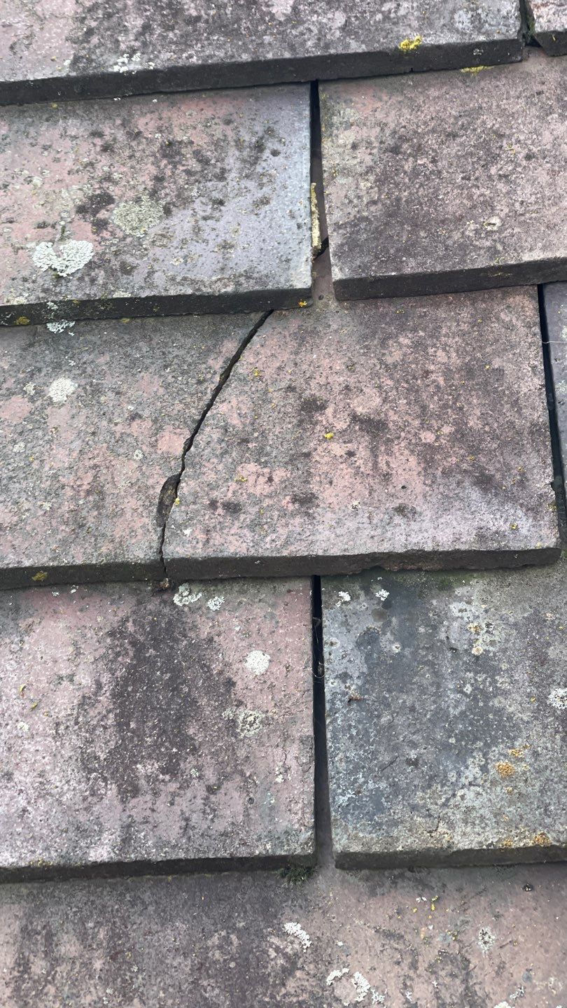 Roof Scraping- Moss Remaval - Biocide using Moss Scraper Blades by Ges Exterior Cleaning ltd