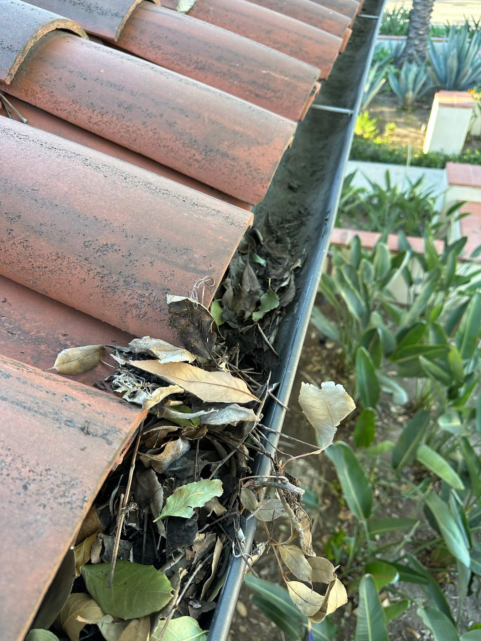 Orange County Gutter Cleaning by Property Cleaning Experts