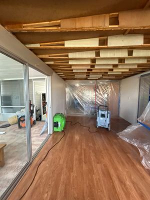 Mold Damage Inspection And Repair In Palmetto FL