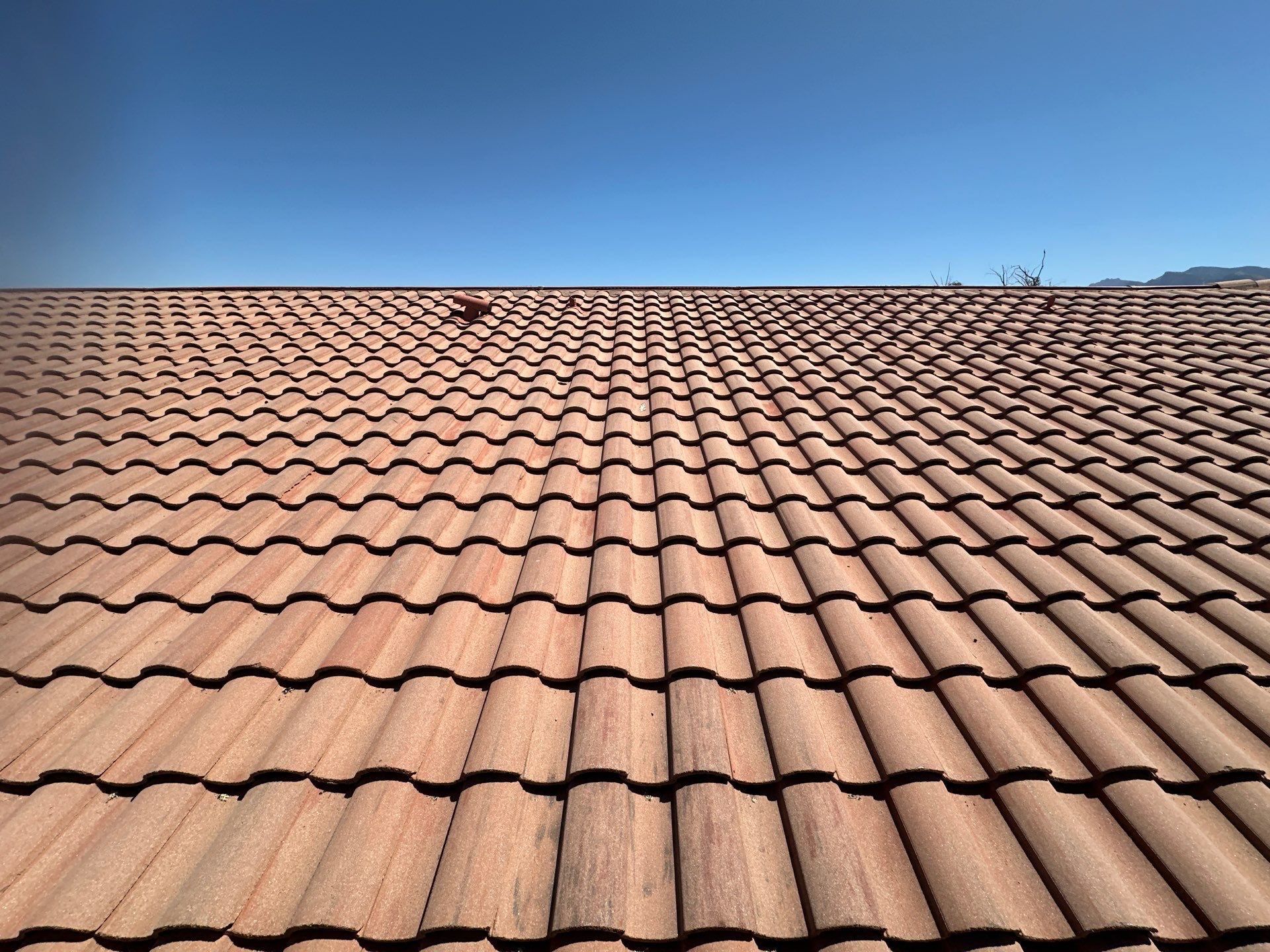 Galvanized Steel Exposed Fastener by Reimagine Roofing