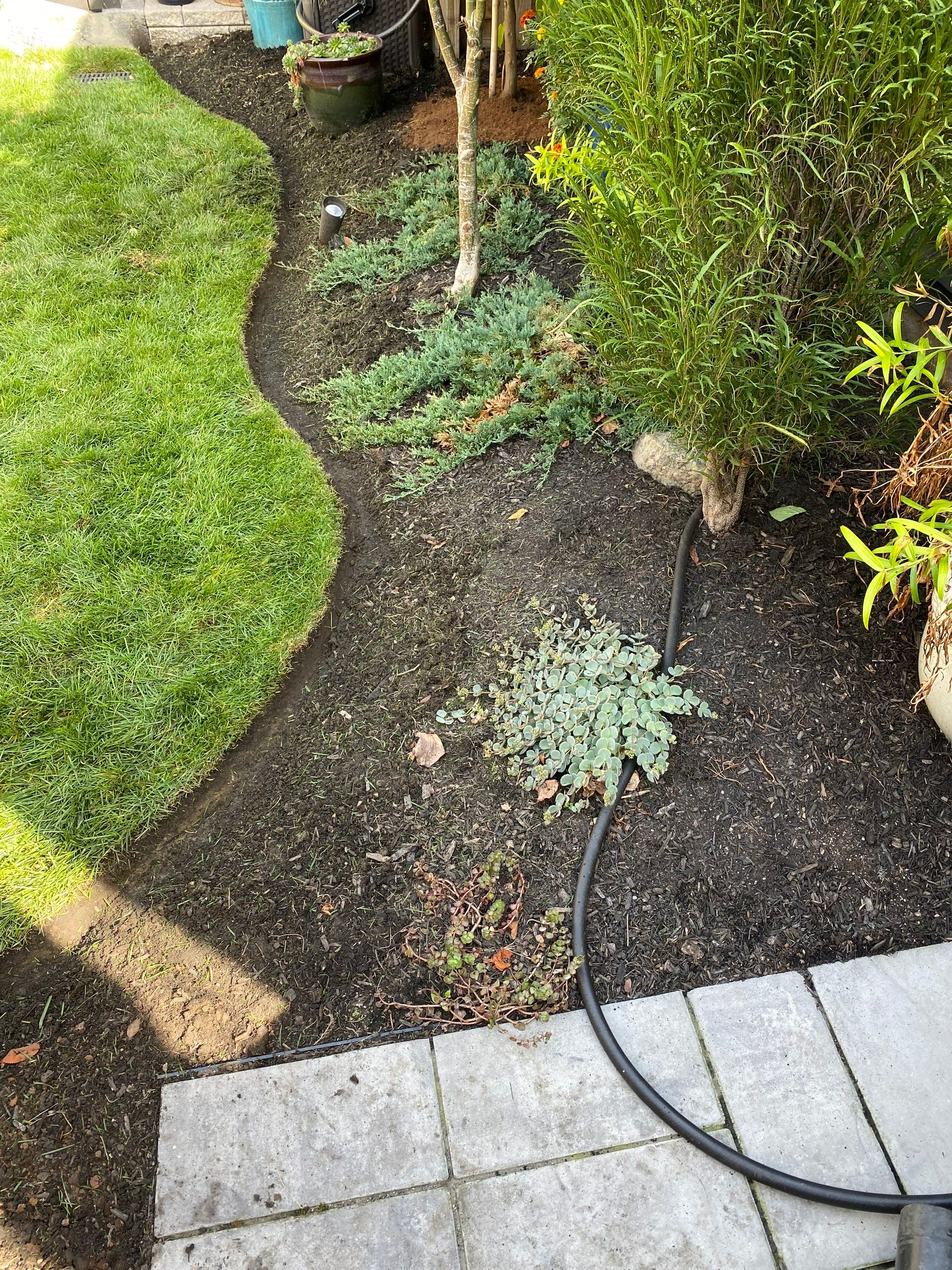 Corten Steel Maintenance by Elm Rose Gardens