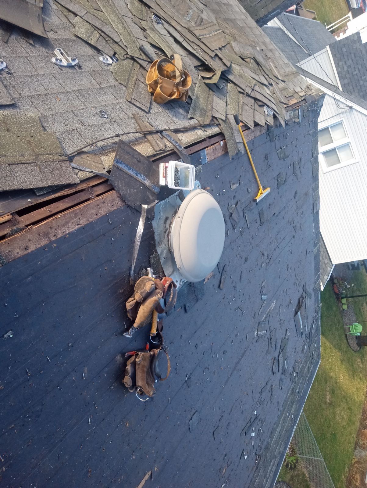 Silver Birch Shingles by Reimagine Roofing