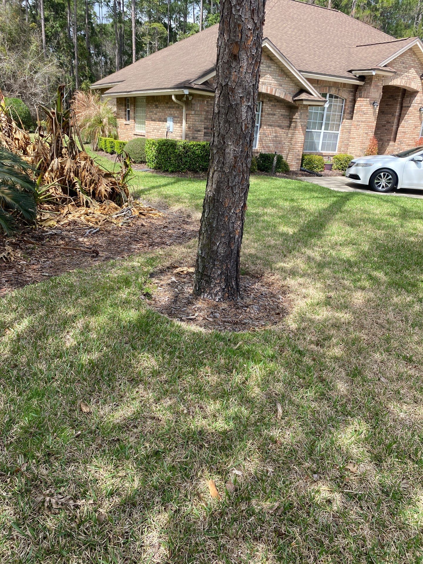 Residential | Landscaping by ProGreen Services