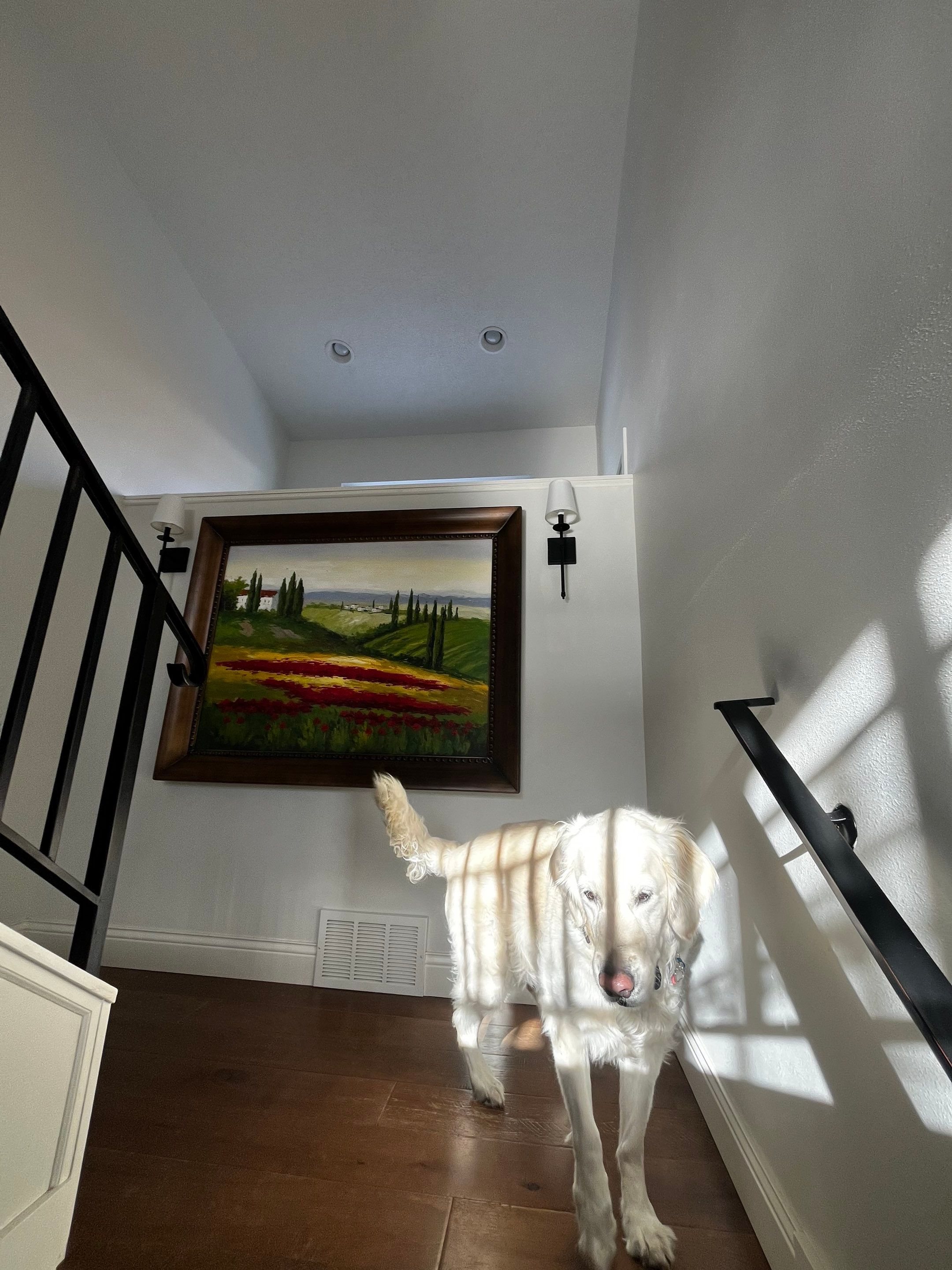 Interior Painting and Full Home Modernization in Sioux Falls by Select Painting, Coatings & Garage Cabinets