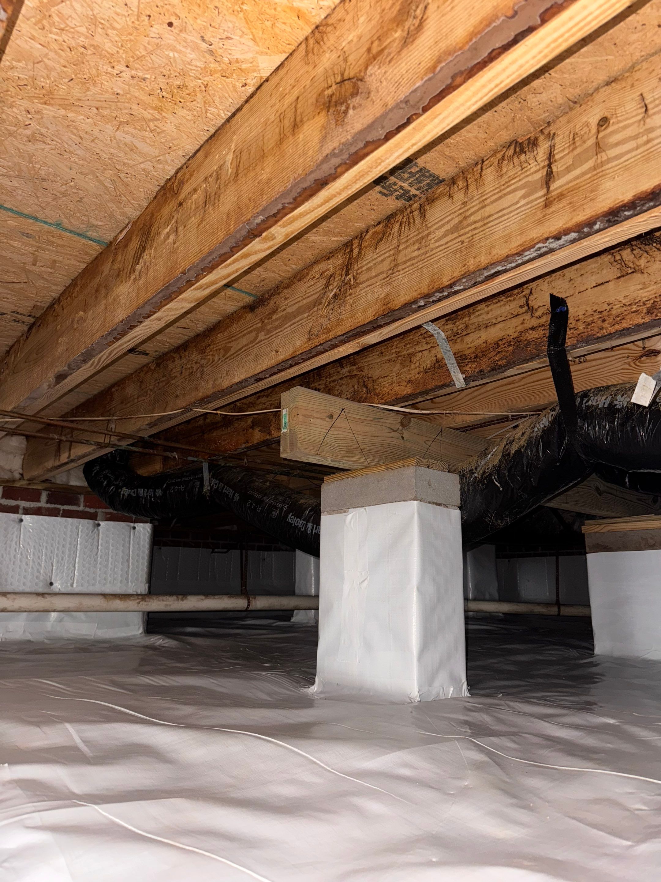 Structural Repairs inludiing sub-floor removal, new floor joists installed, girder replacmeent and dropped girder installed. by Impact Crawlspace