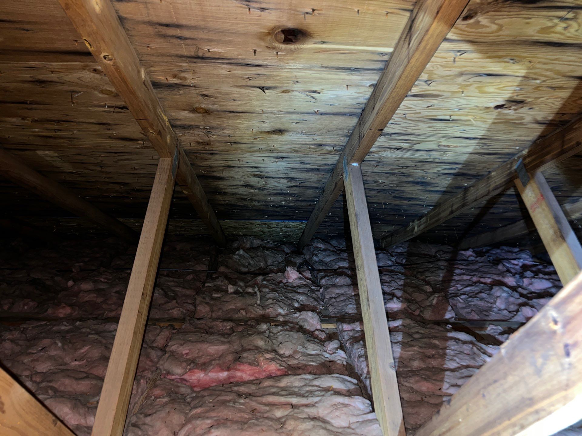 Addressing Attic Mold and Upgrading Insulation in Cranberry Township, PA 16066 by Home Environment Solutions