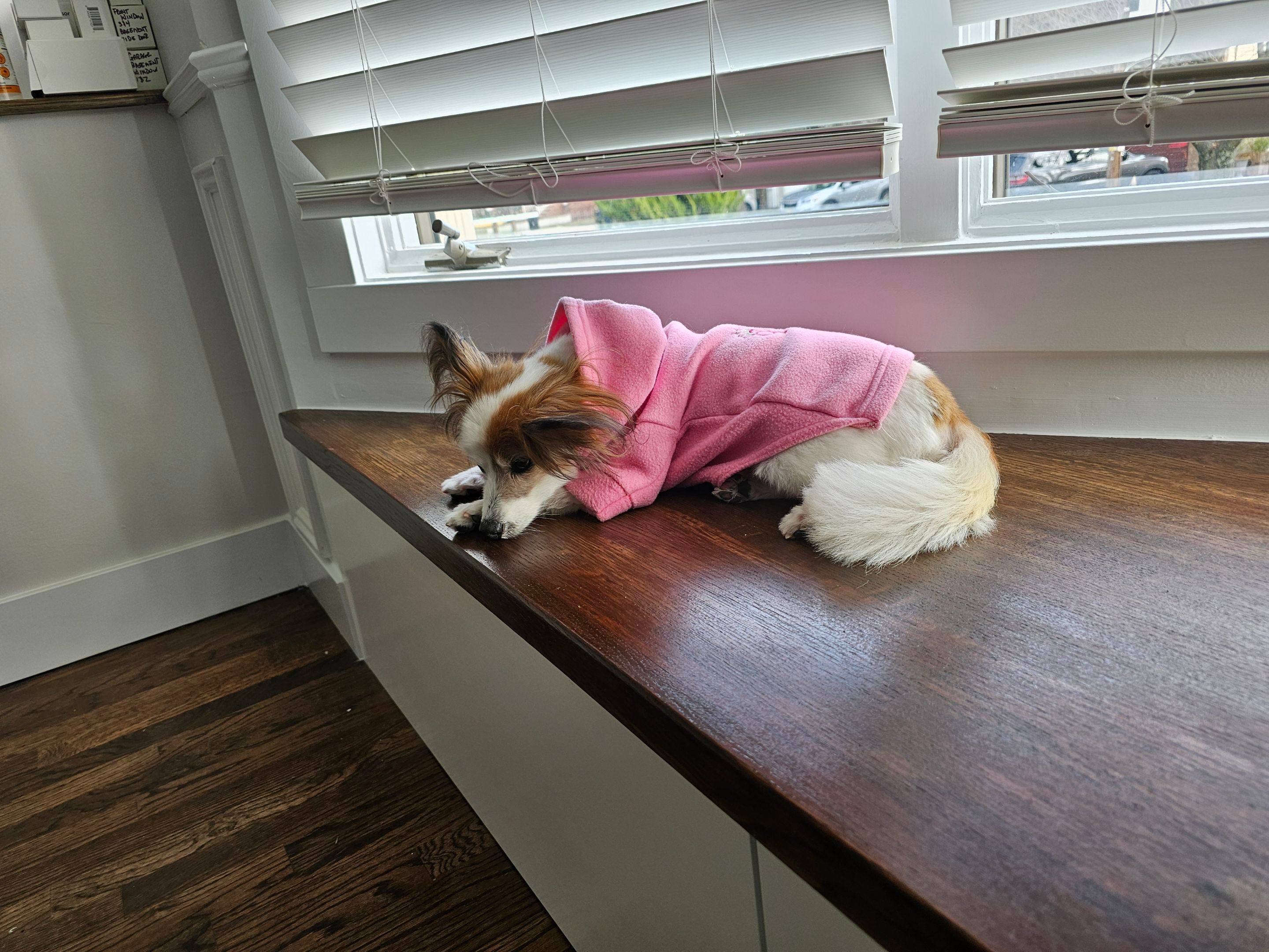 Home Remodel by Cedar Contractors Group, Inc.