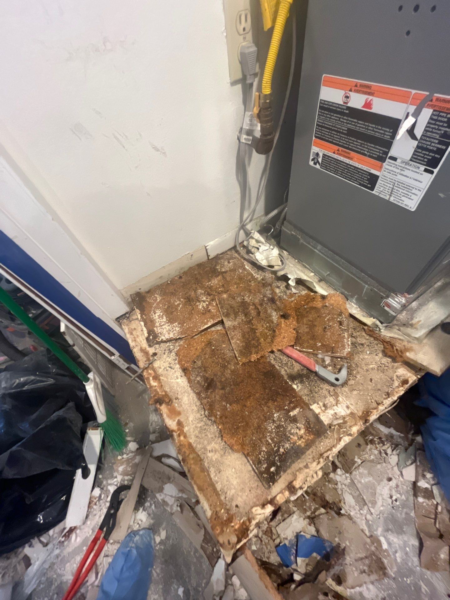 Mold Remediation & Rebuild in Laguna Niguel by One Stop Source