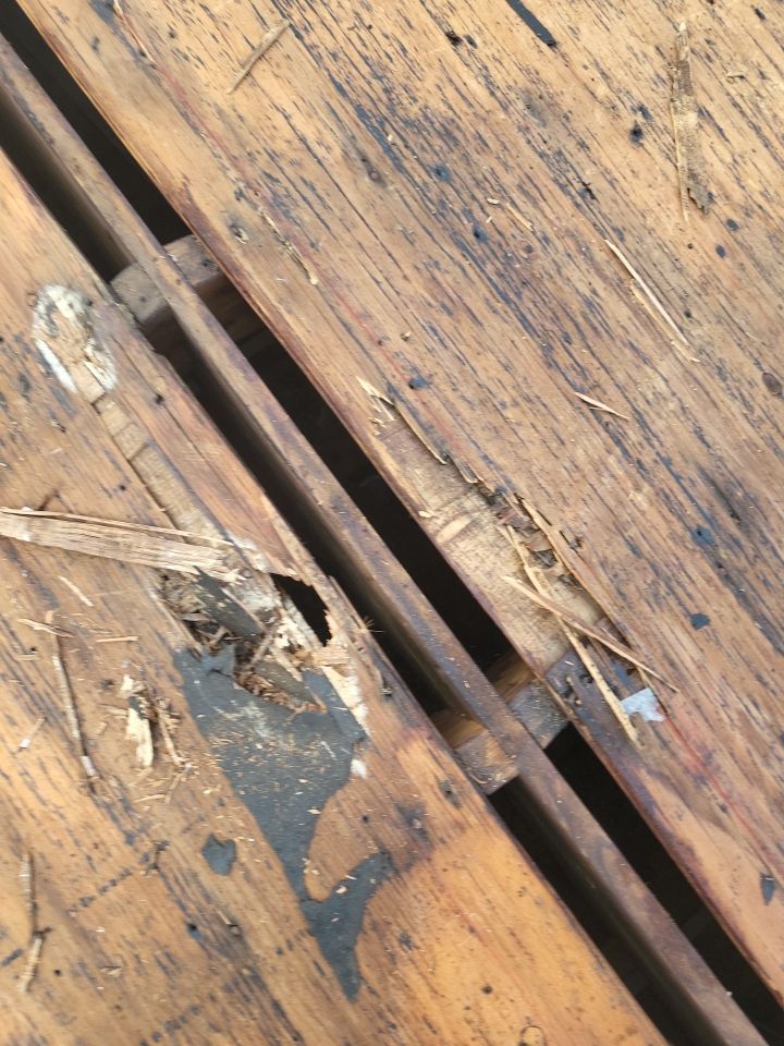 ATLAS PINNACLE COLOR: PRISTINE SCOTCHGARD WEATHERED DRIP EDGE: MUSKET BROWN by Eagle Eye Roofing