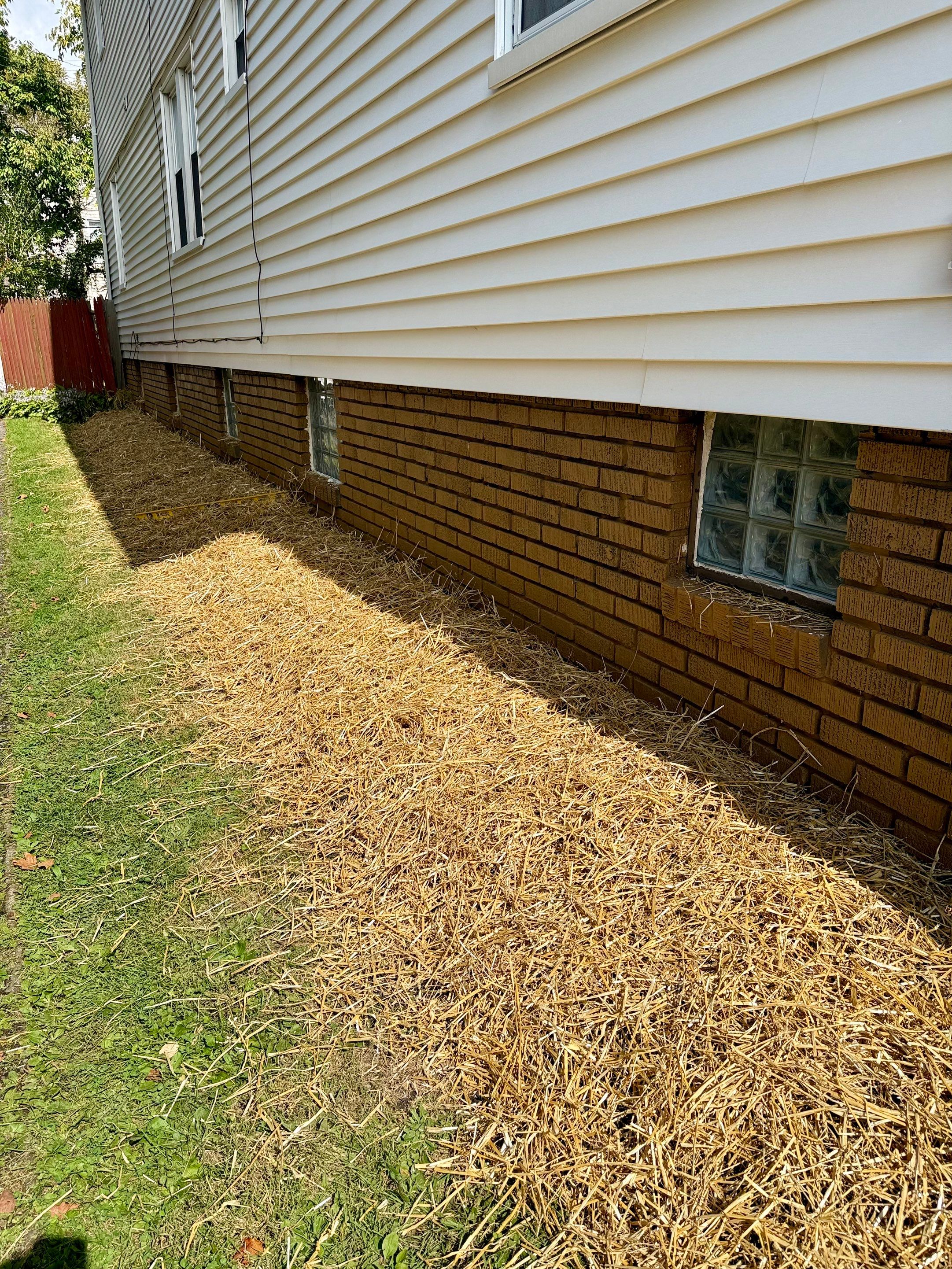 Shade Lawn Repair by Elm Rose Gardens