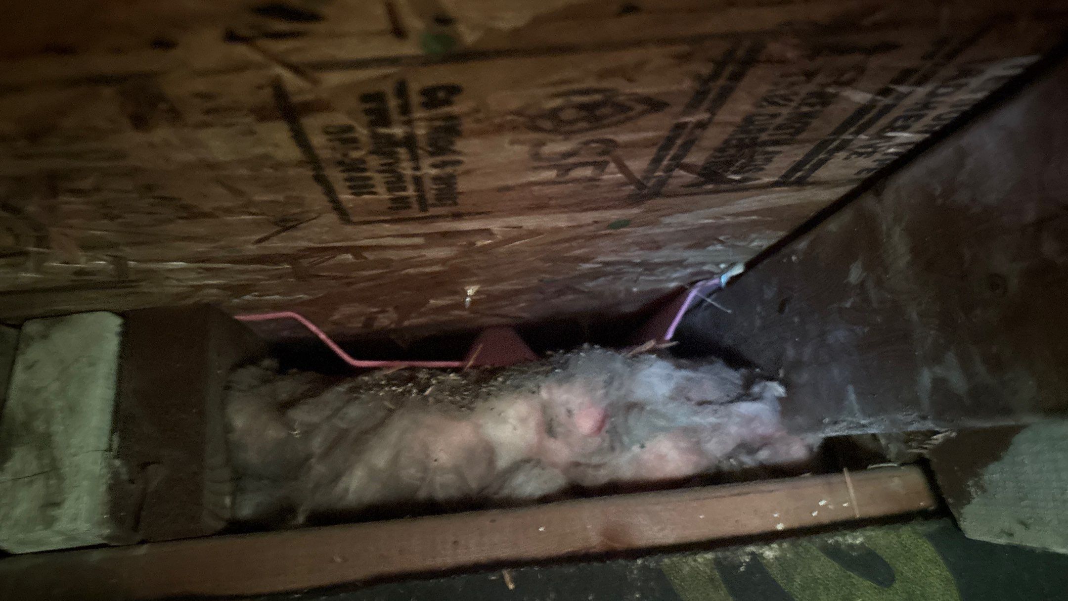 Roof Replacement using Owens Corning Brownwood by 180 Contractors