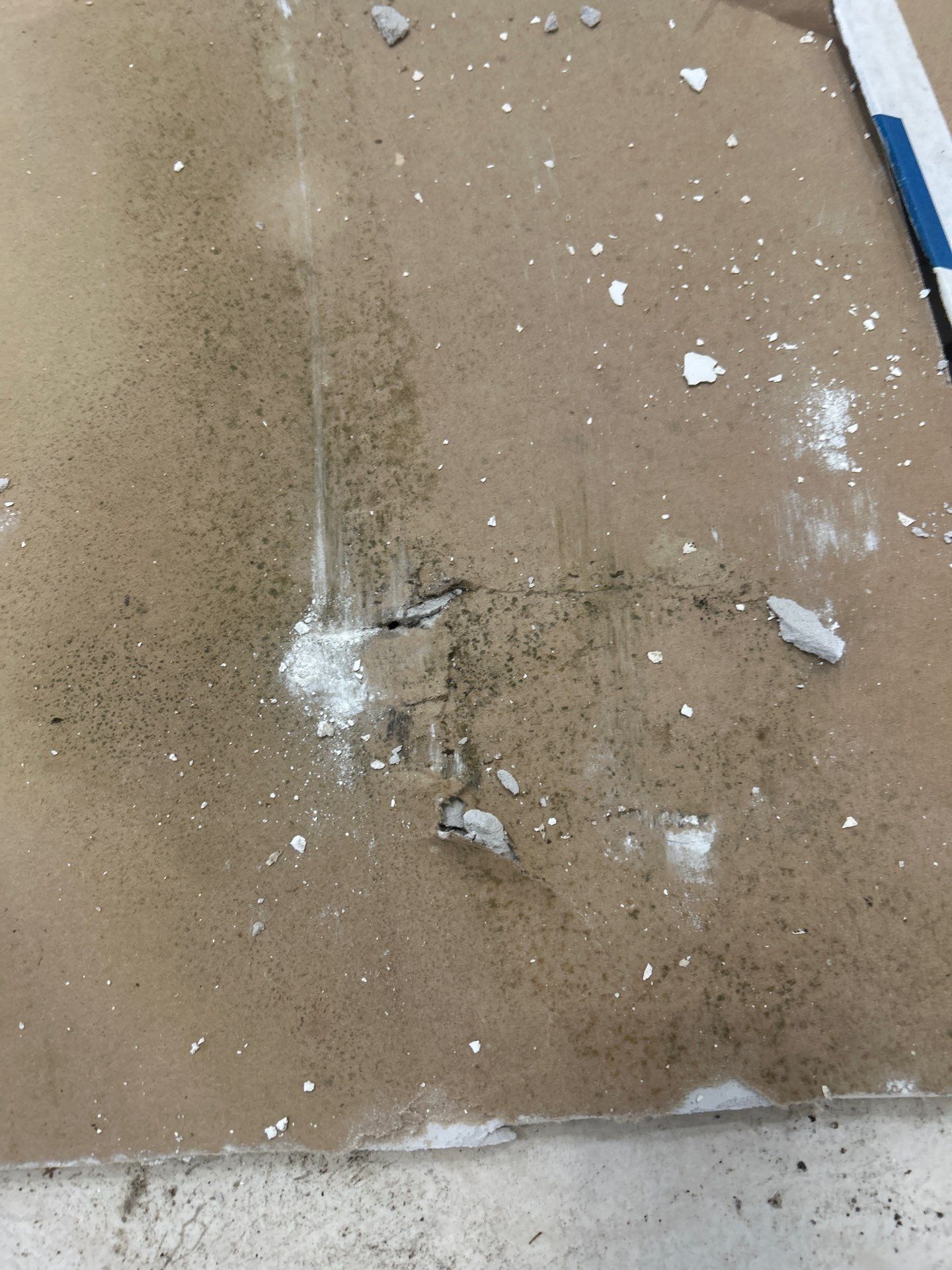 Mold Removal In North Port  by Ampm Restoration Services 