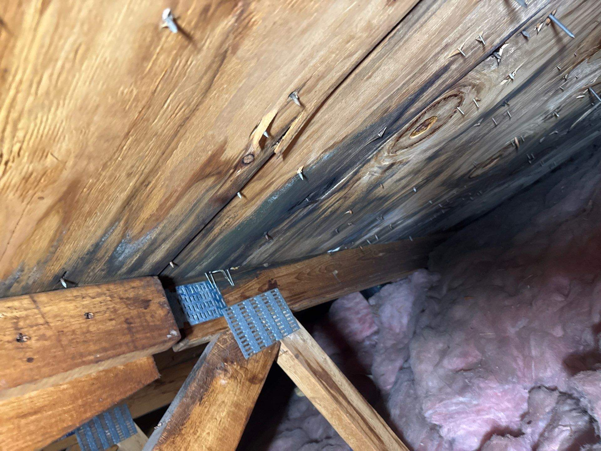 Water Damage Claim in Jackson by FLAPA & KeyStone
