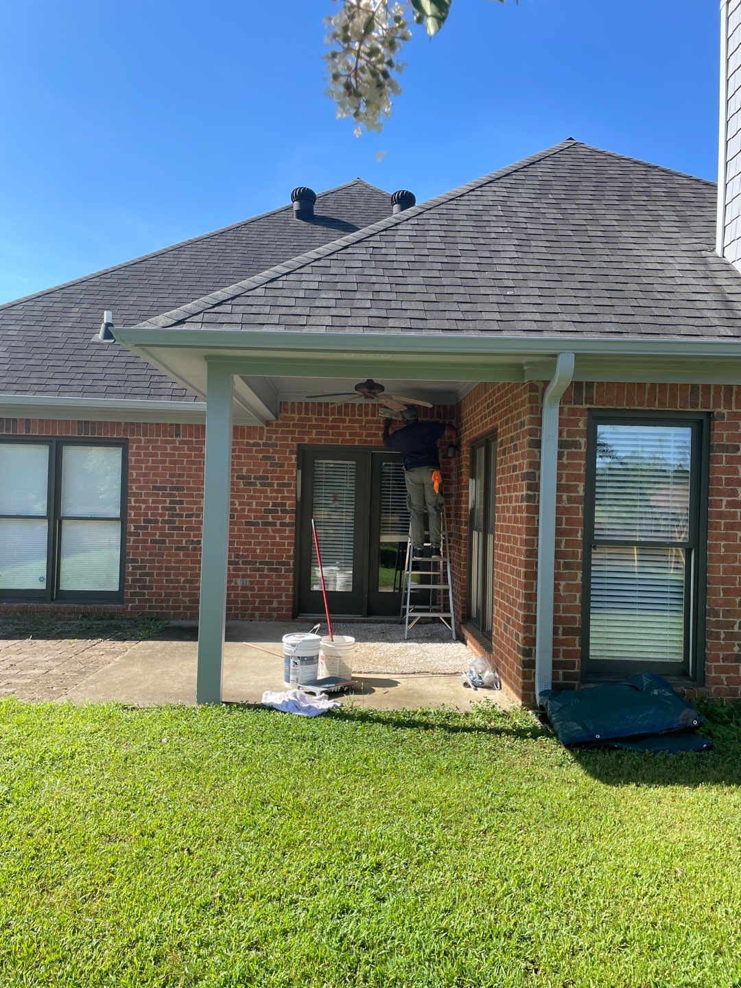 Downing Park - Paint by Pillar and Pine