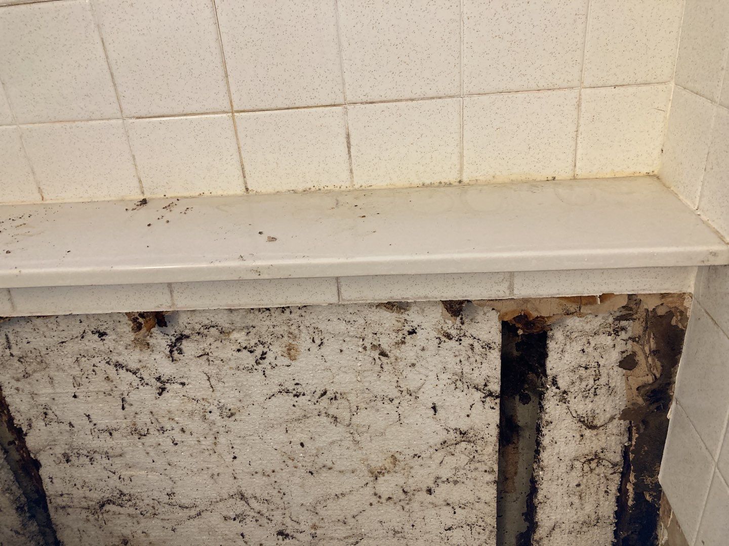 Mold Remediation in Bathroom by Accountable Home Services