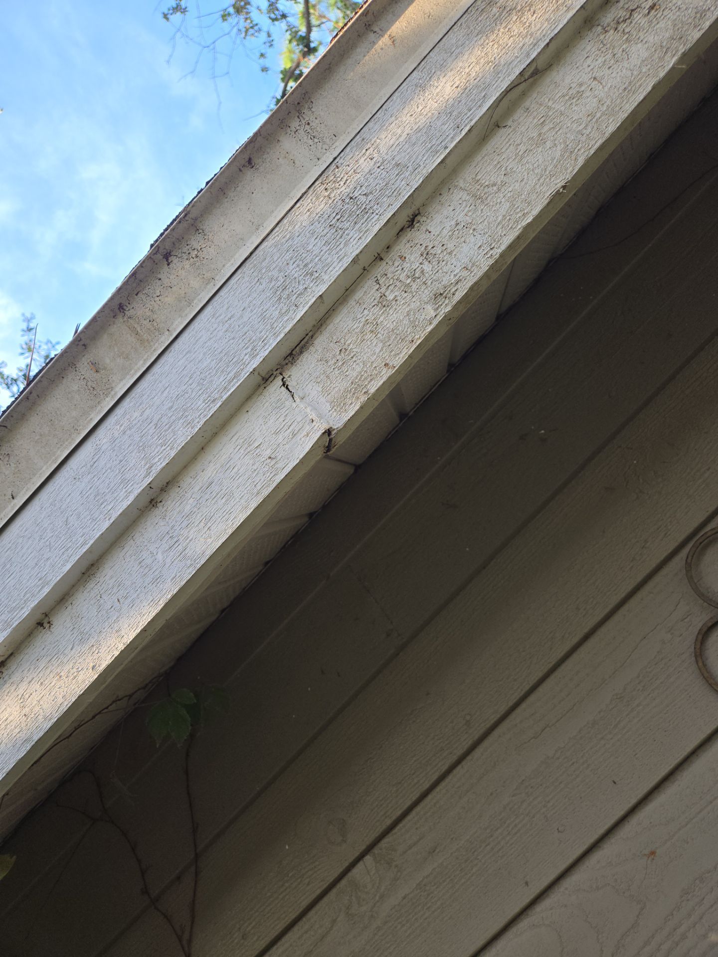 Project in Clearwater 33760 by Mitchell Roofing Company LLC 
