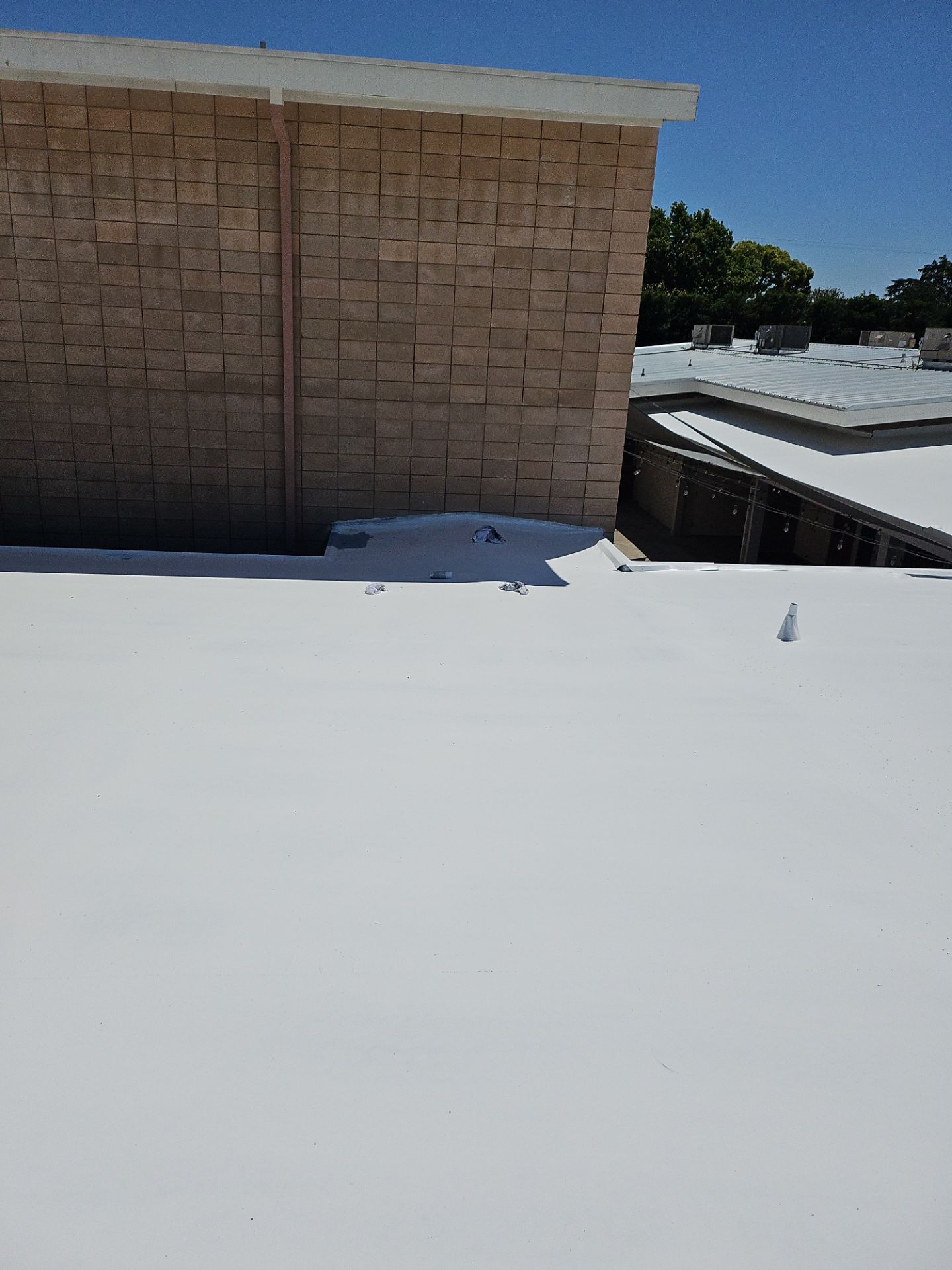 Single-ply restoration system using Benchmark/PUMA XL coatings over TPO single-ply roofing by Straight Edge Roofing Inc
