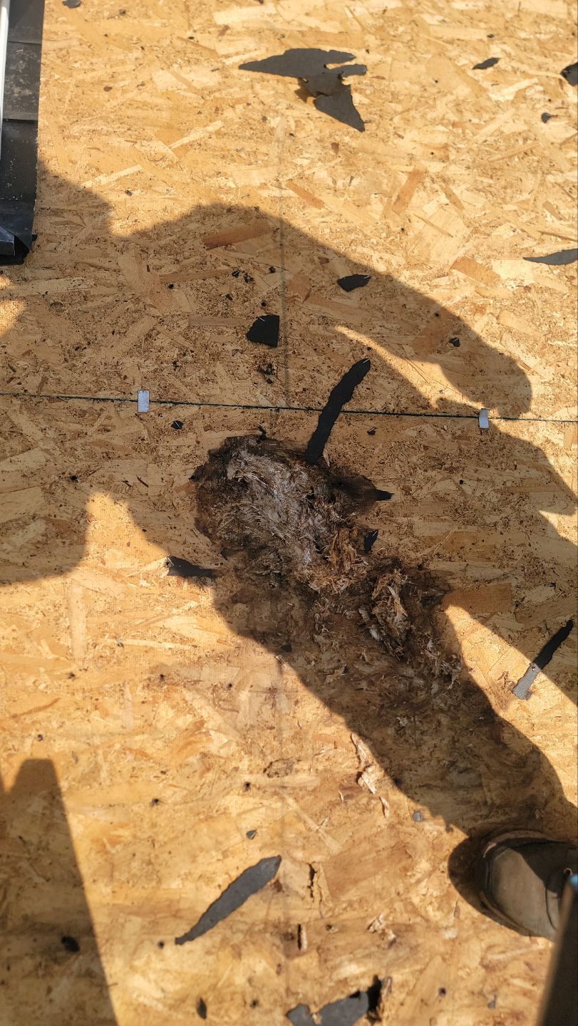 Roof Installation using GAF Timberline HDZ by ExteriorPros