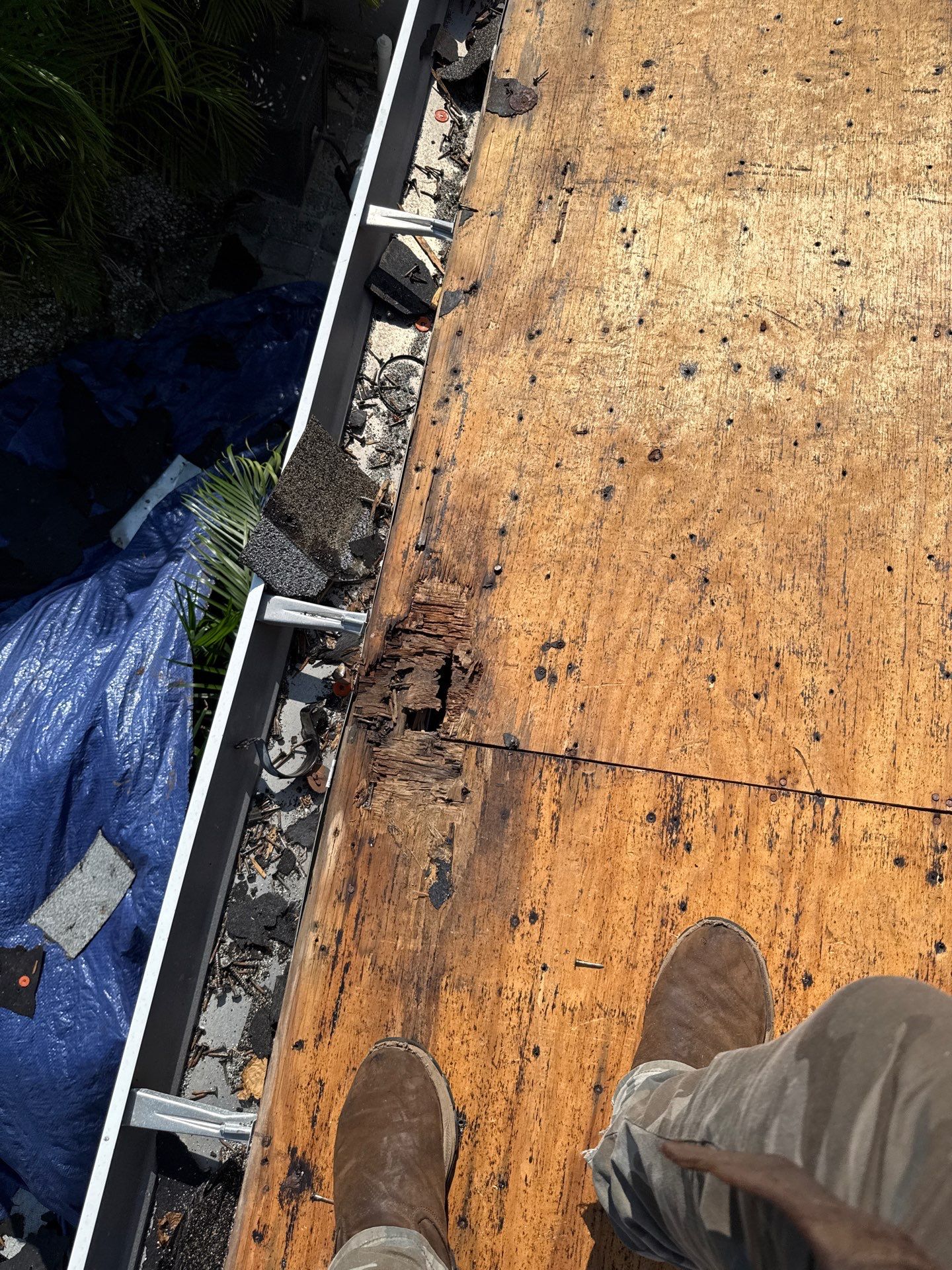 Project in St. Petersburg 33705 by Mitchell Roofing Company LLC