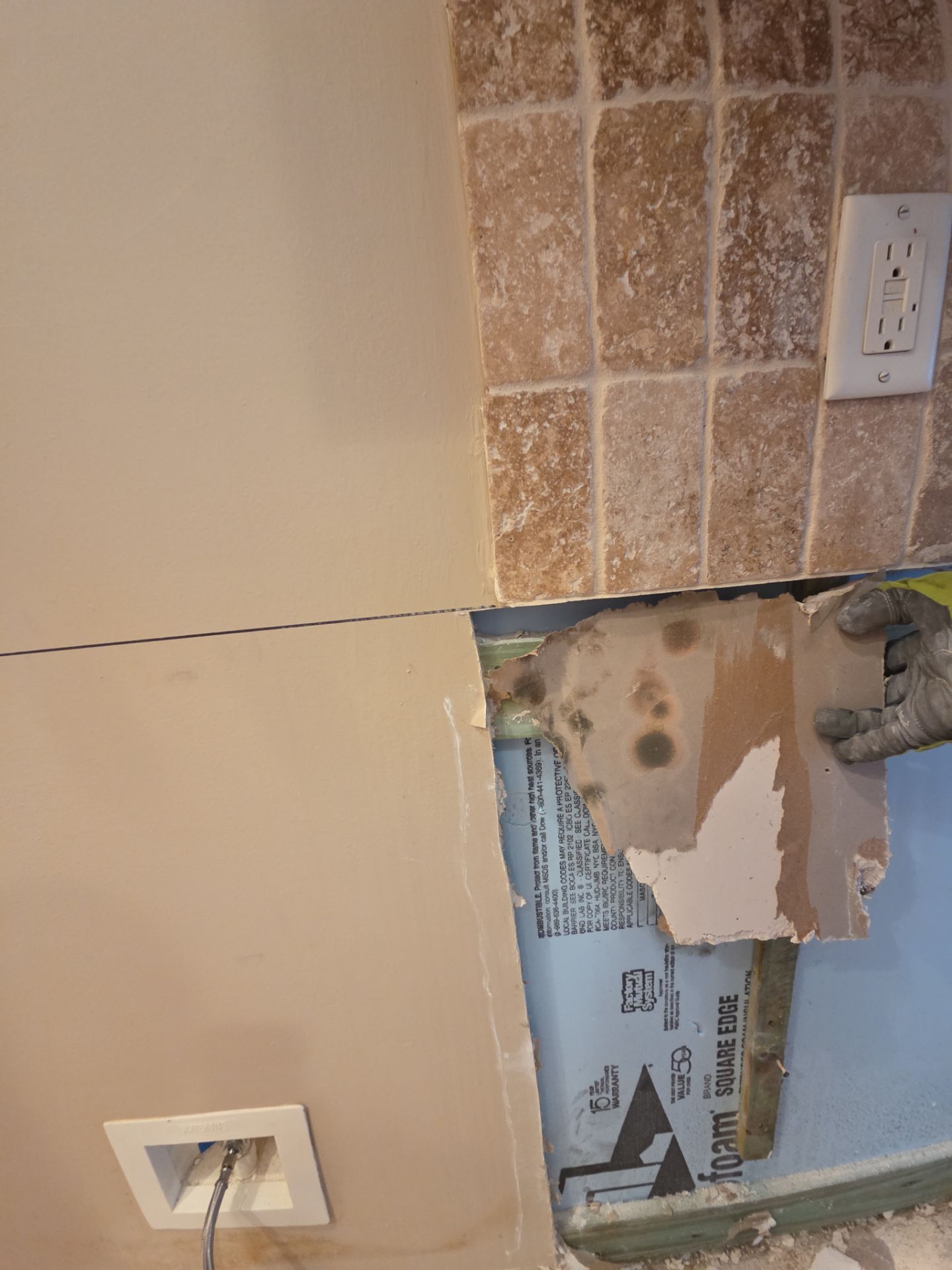 Fort Myers Water Damage Restoration and Professional Mold Remediation by Microscope