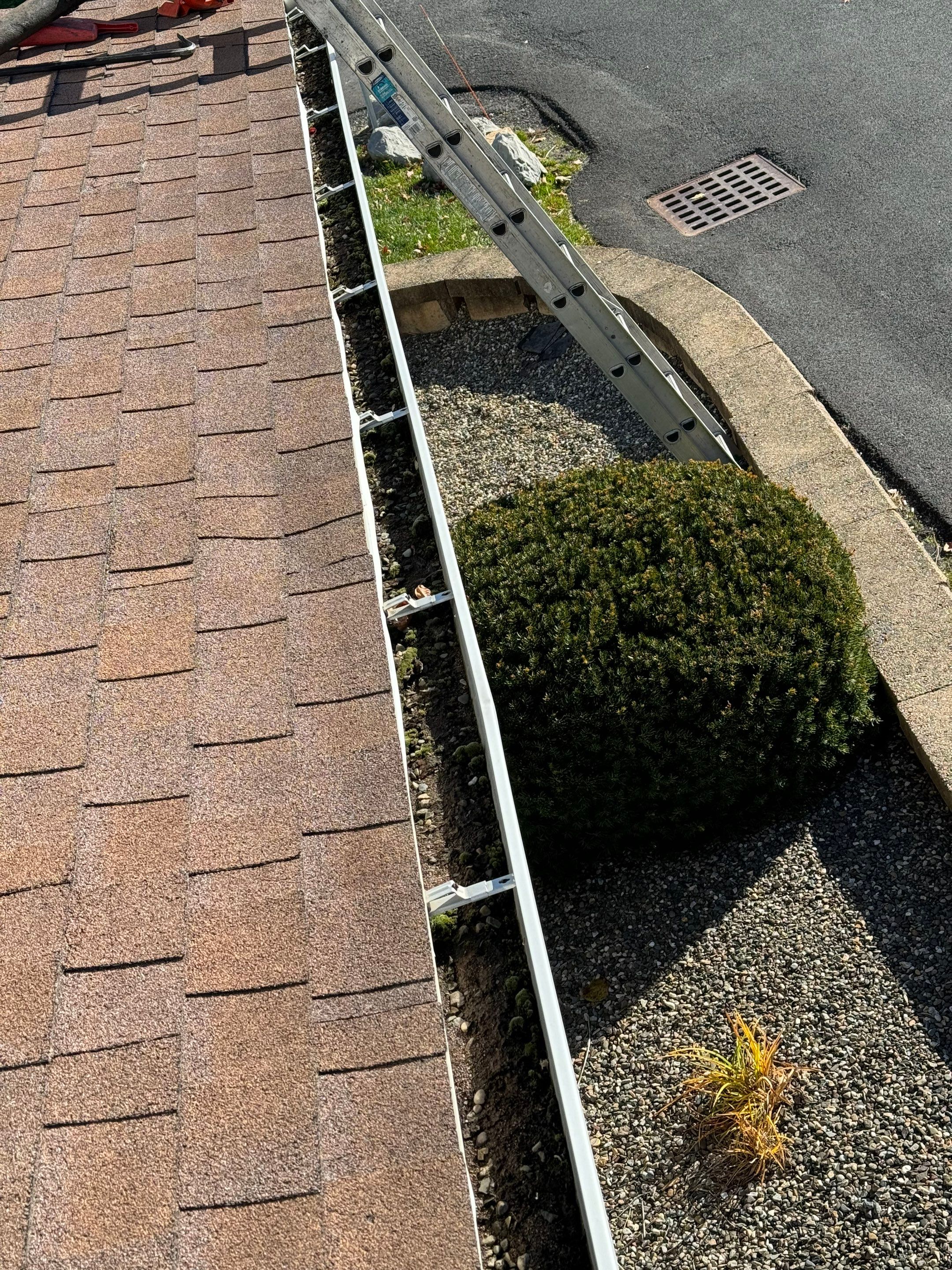 Commercial gutter cleaning Albany before photo with filled gutters