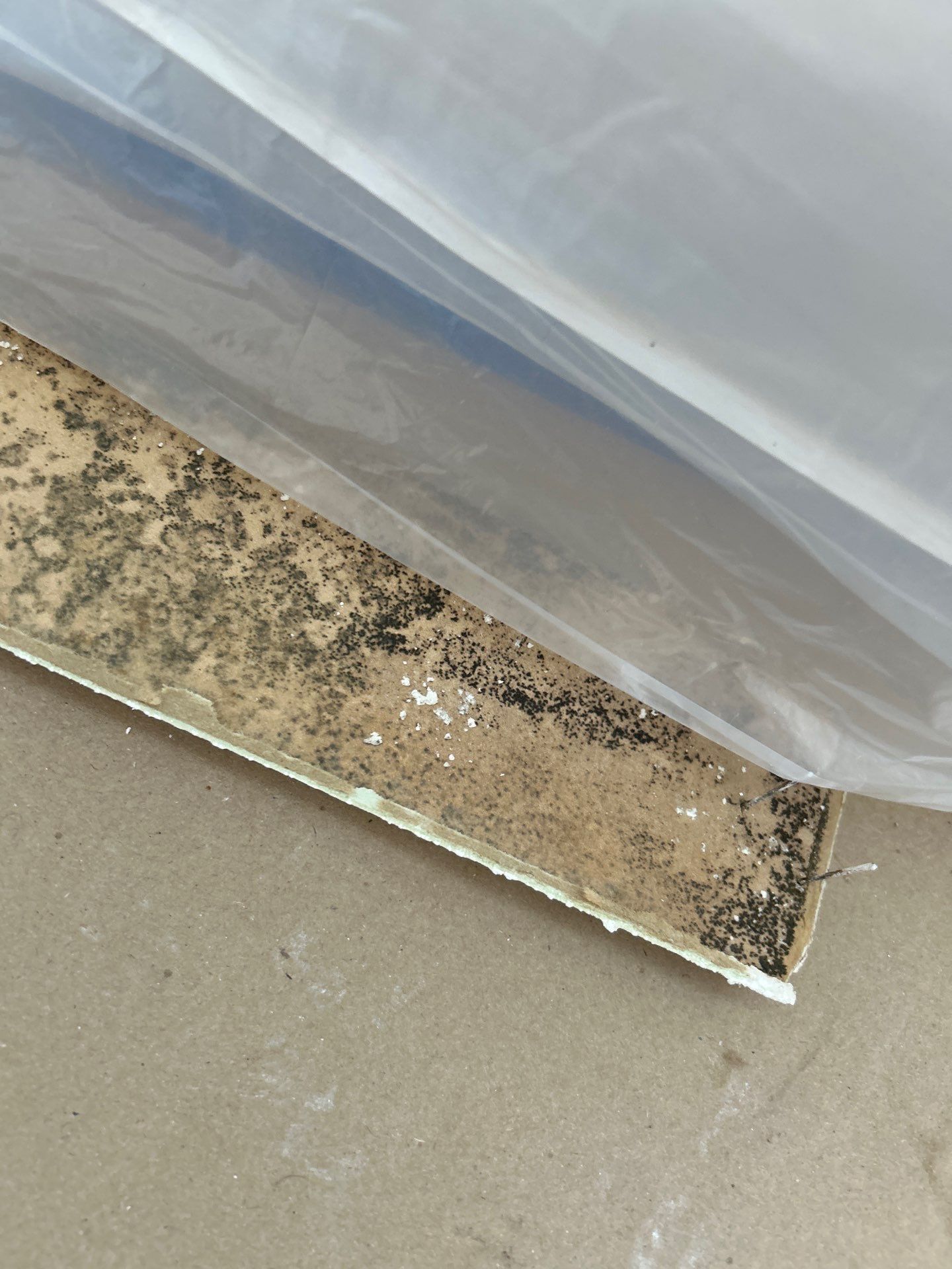 Storm Water Damage by Ampm Restoration Services