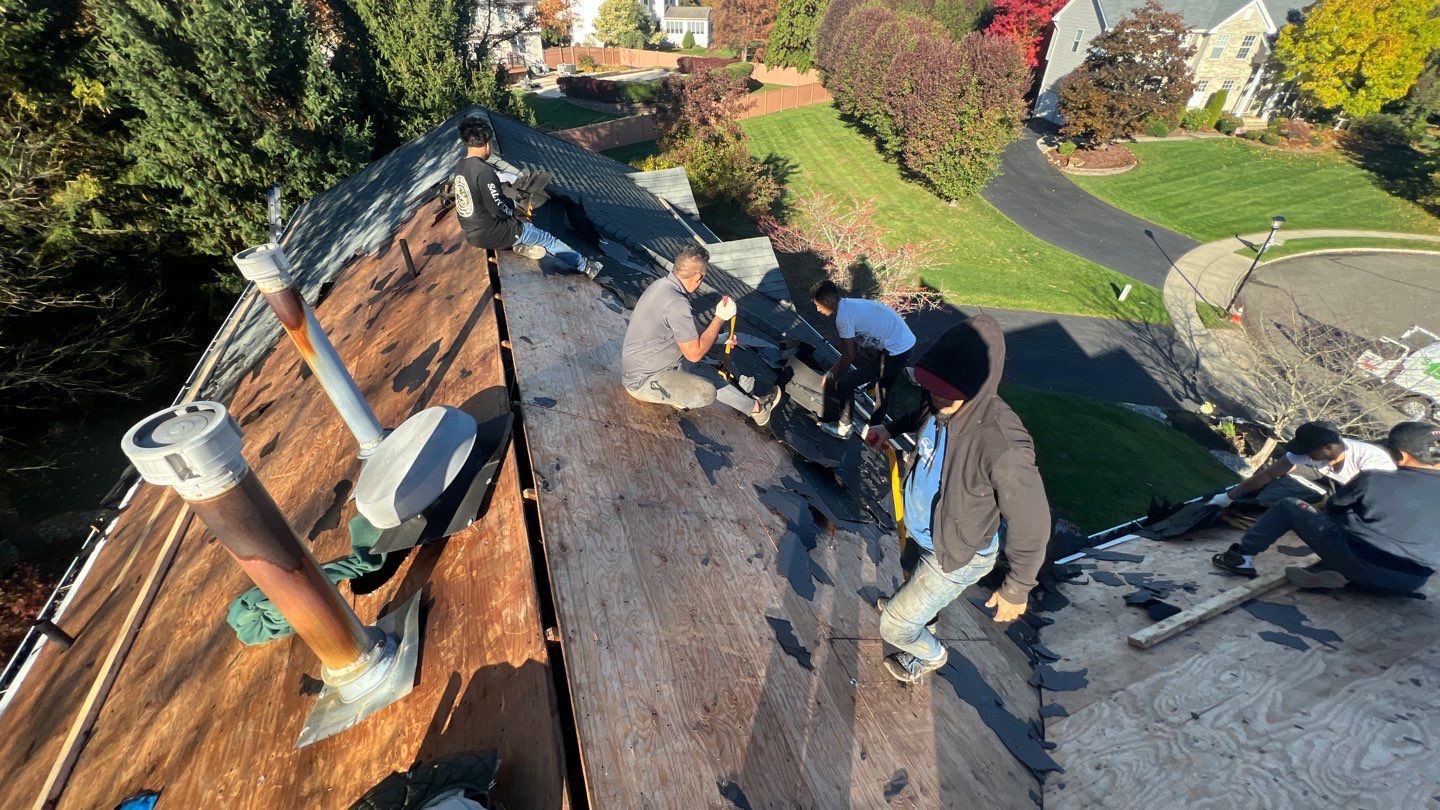 Pewter Gray Shingles by Reimagine Roofing