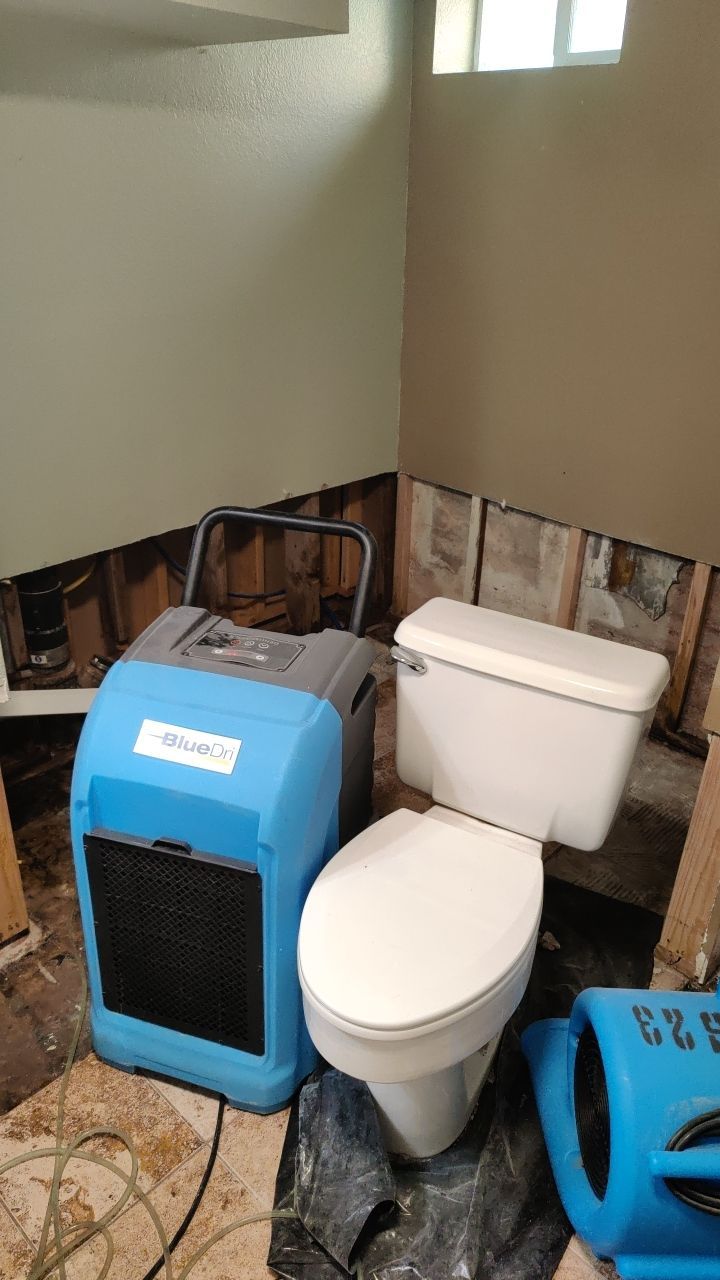 Water Damage and Mold Remediation by Accountable Home Services