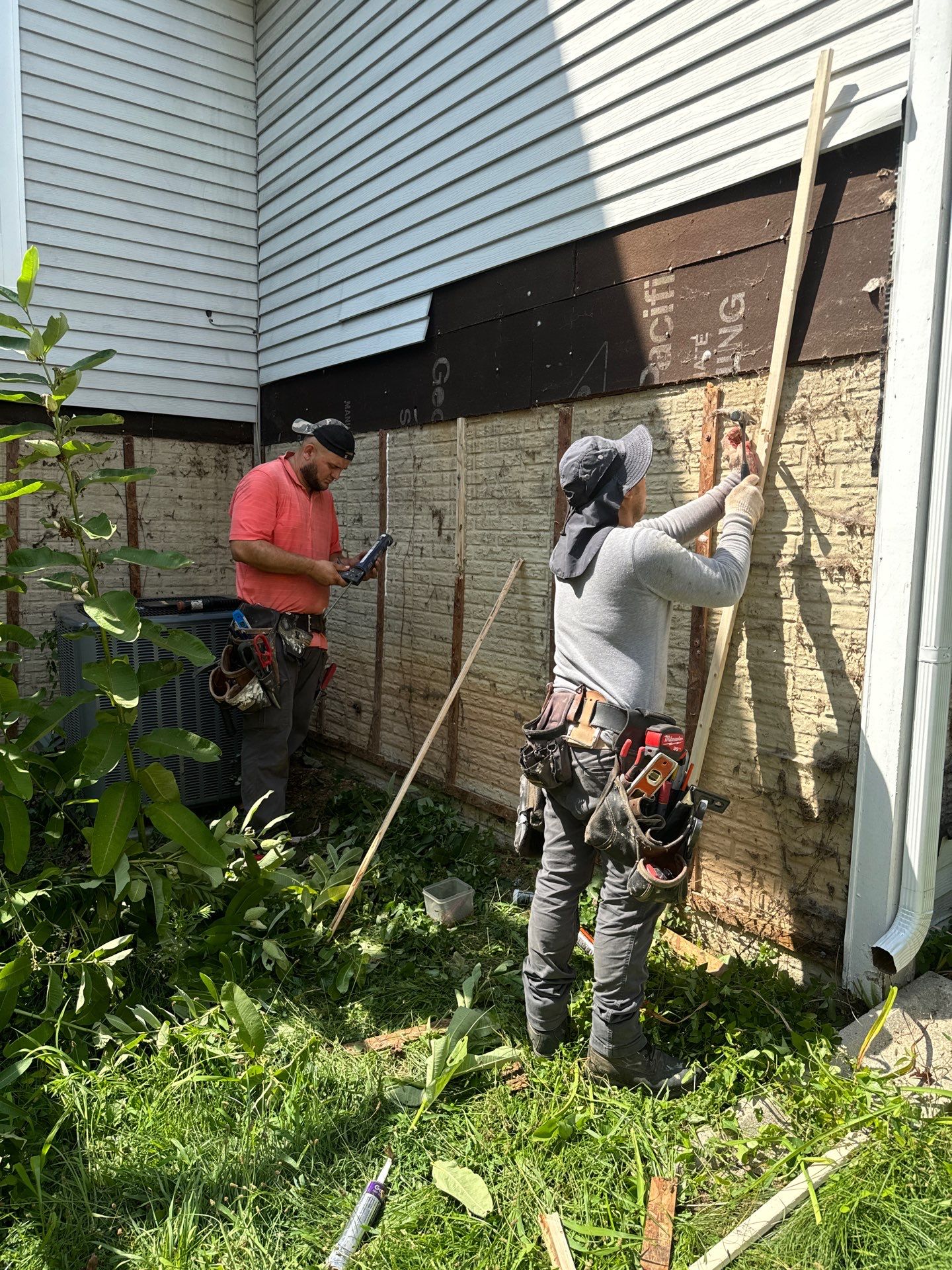 New Prodigy siding with One-piece insulated siding system & Exterior painting   by Alpha Design Services
