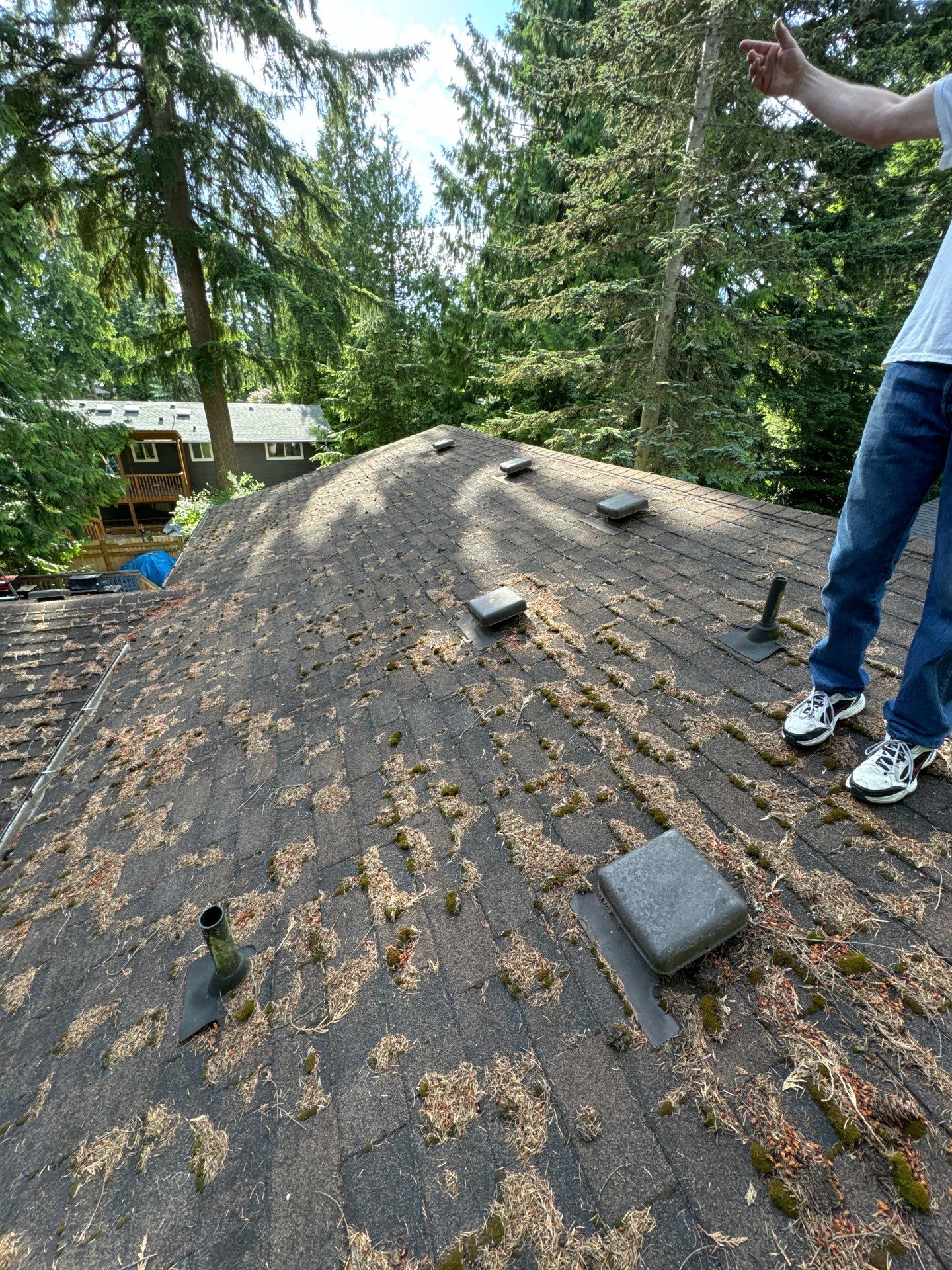 Project in Edmonds by Peaks and Valleys Construction