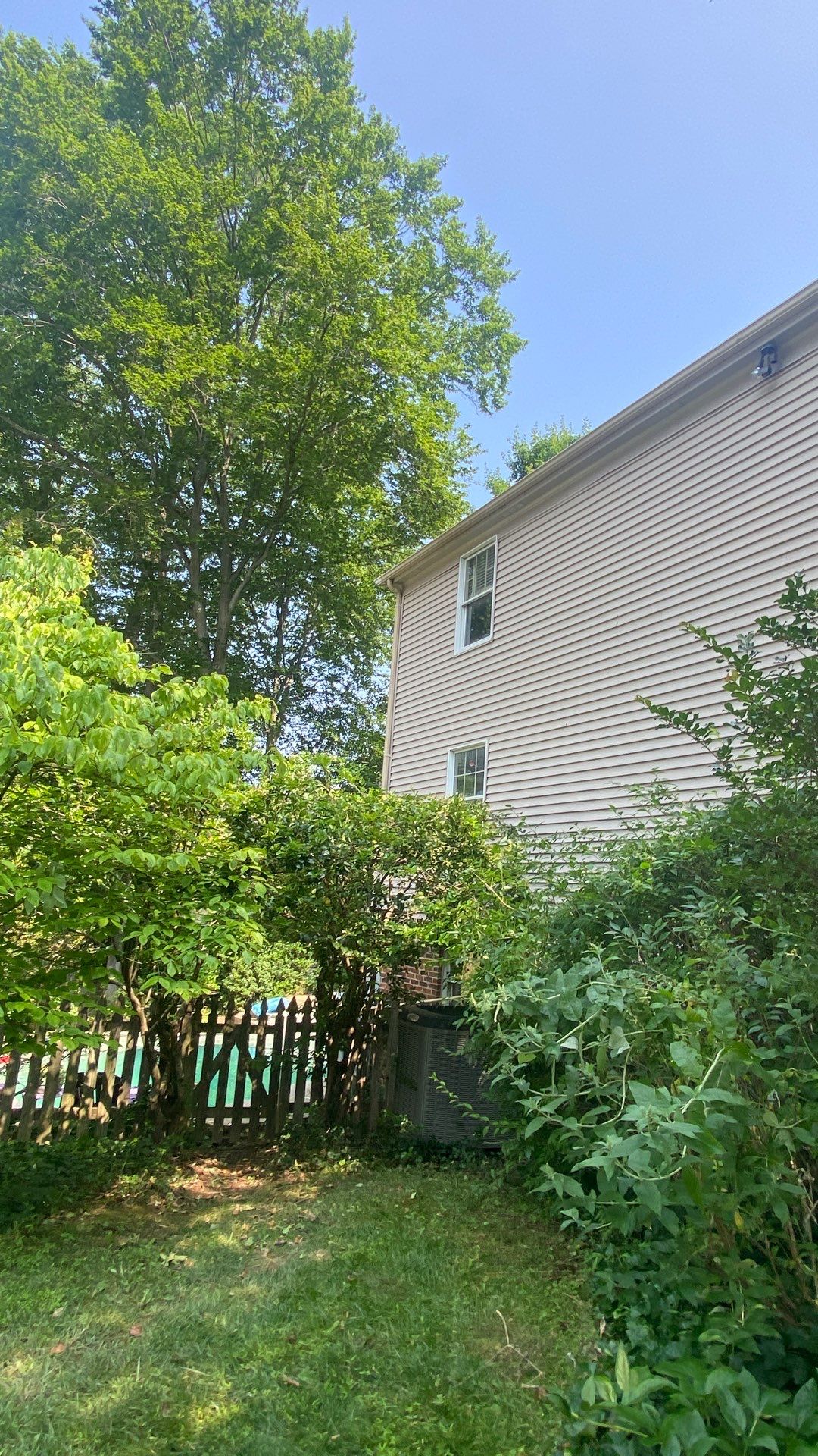 Springfield: Roof Replacement with CertainTeed Landmark Pro in Max Def Evergreen by RM Banning, Inc.