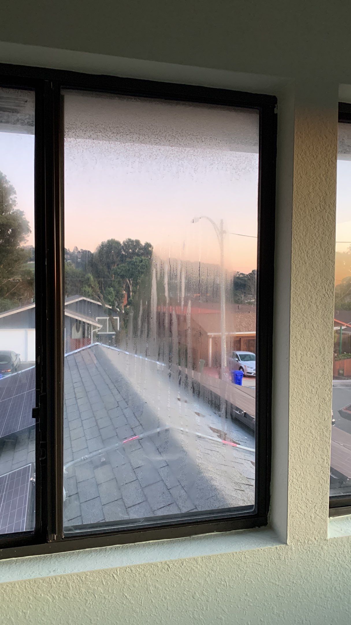 Tess Blengino Listing 2831 Gonzaga by SpotFree Window Cleaning