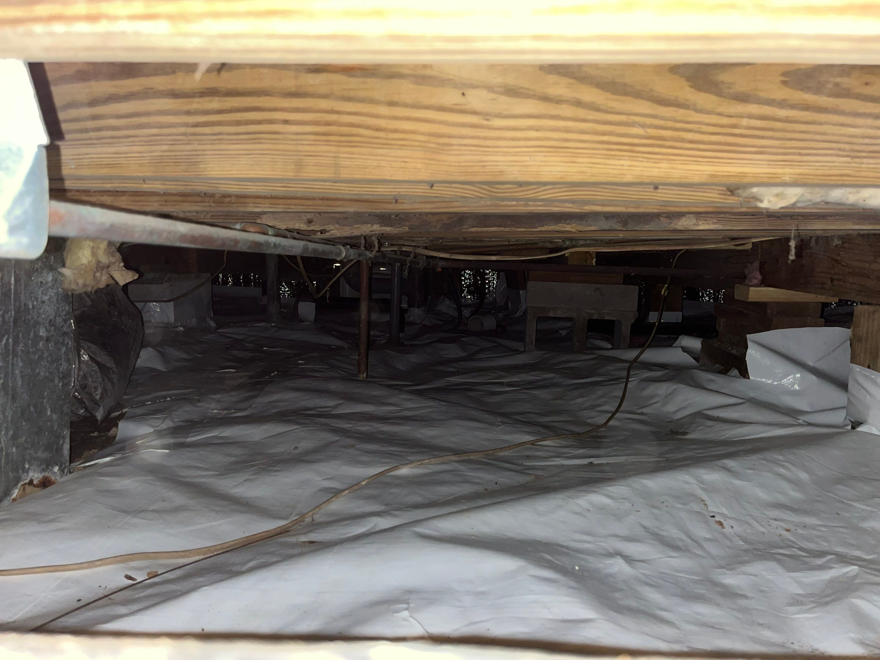 Impact Choice Encapsulation on a low crawlspace. by Impact Crawlspace