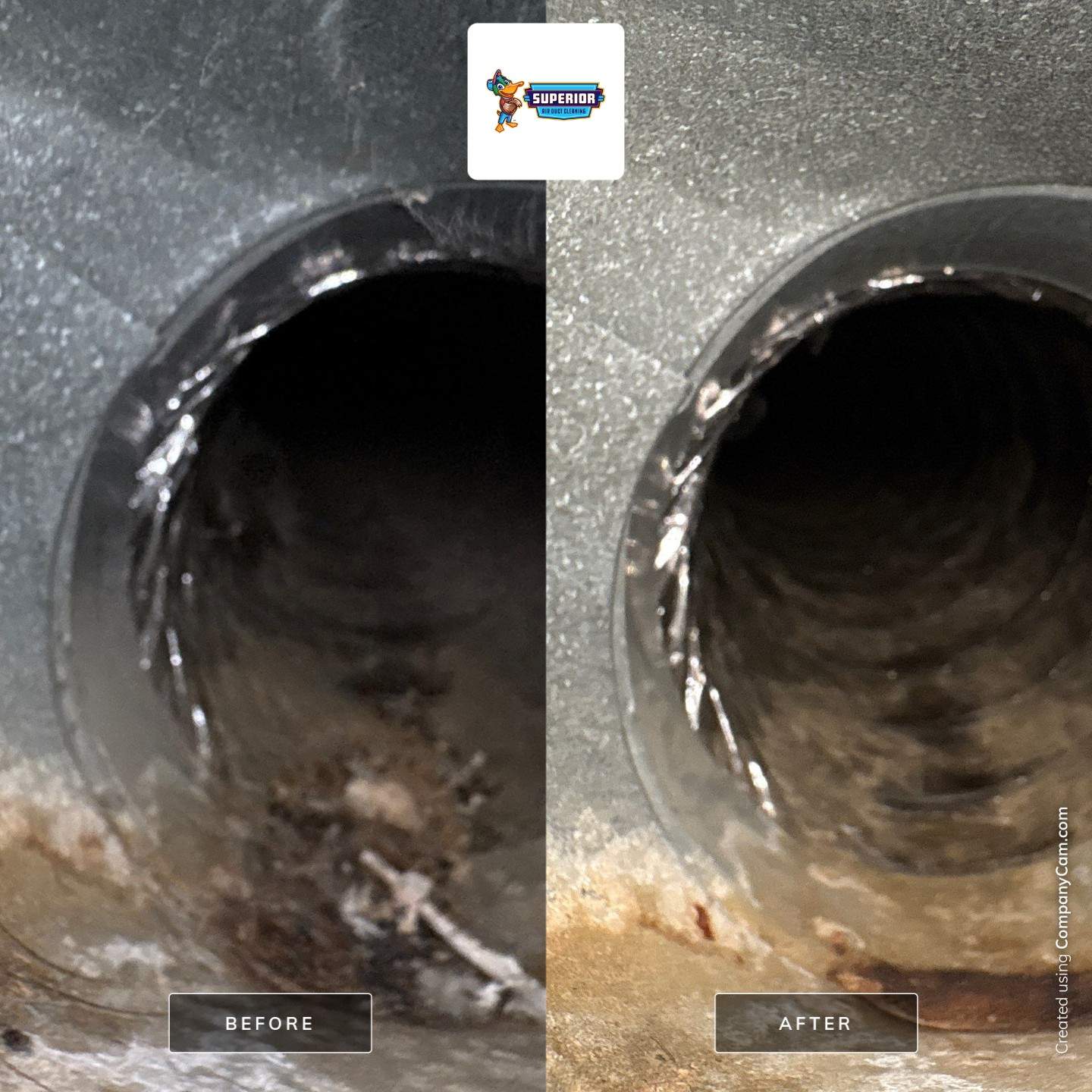 Comprehensive Air Duct Cleaning for Rochester Manufactured Home by Superior Air Duct Cleaning
