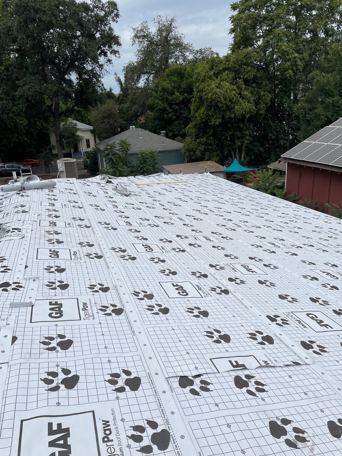 Apartment Shingle by Butte Roofing Company License #567600