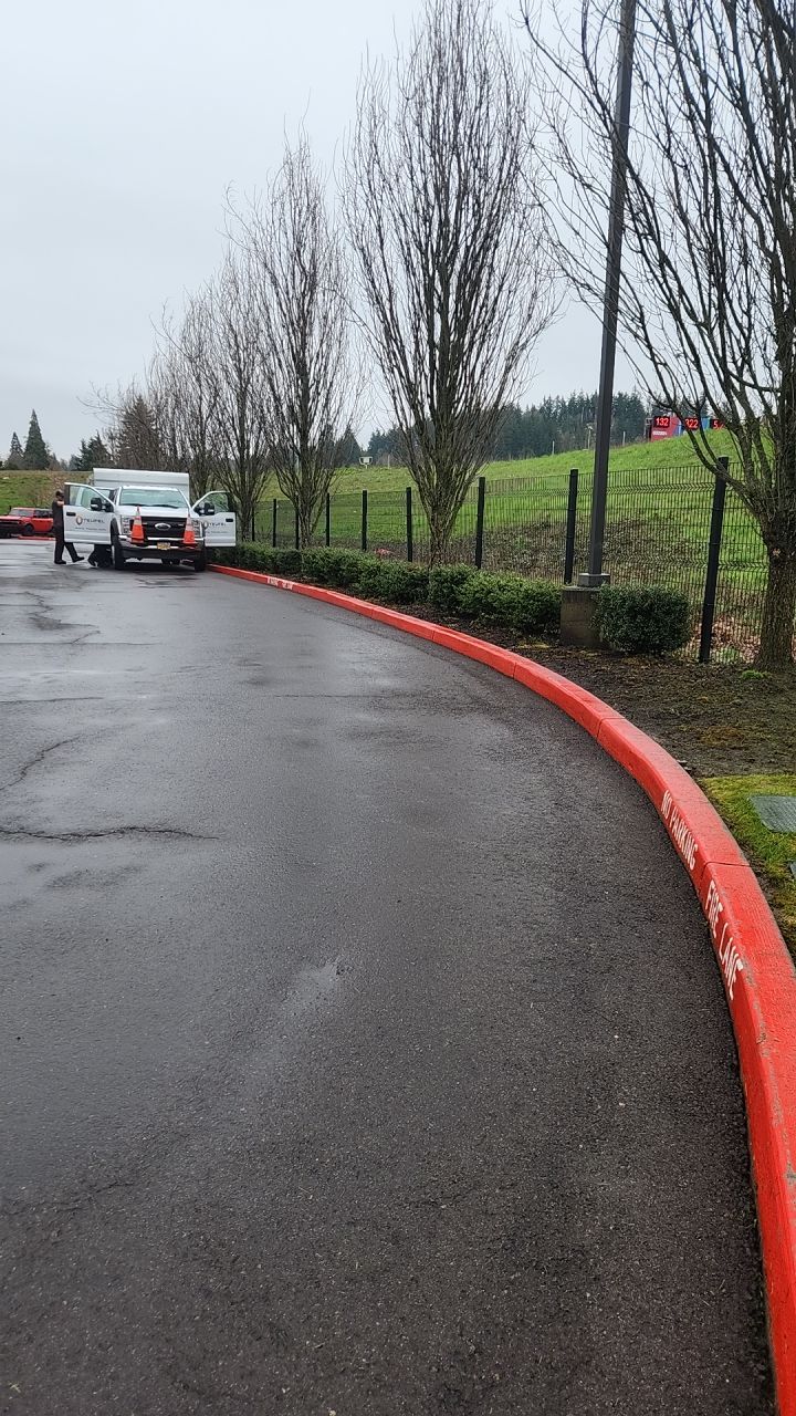Soft Wash using Soft wash solution by Willamette Outdoor Wash LLC
